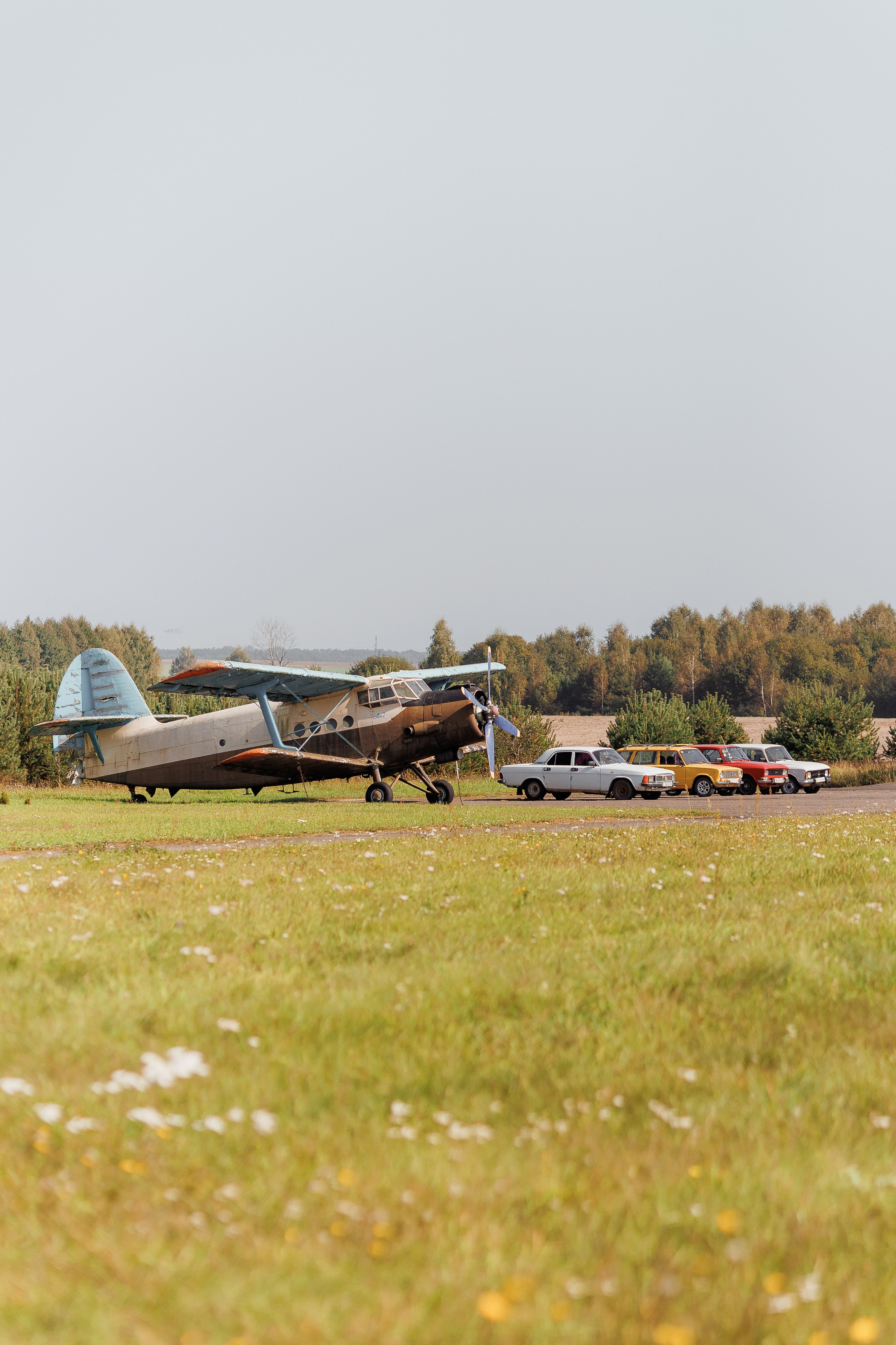 Екопарк Аміла. Ірина Терещук
