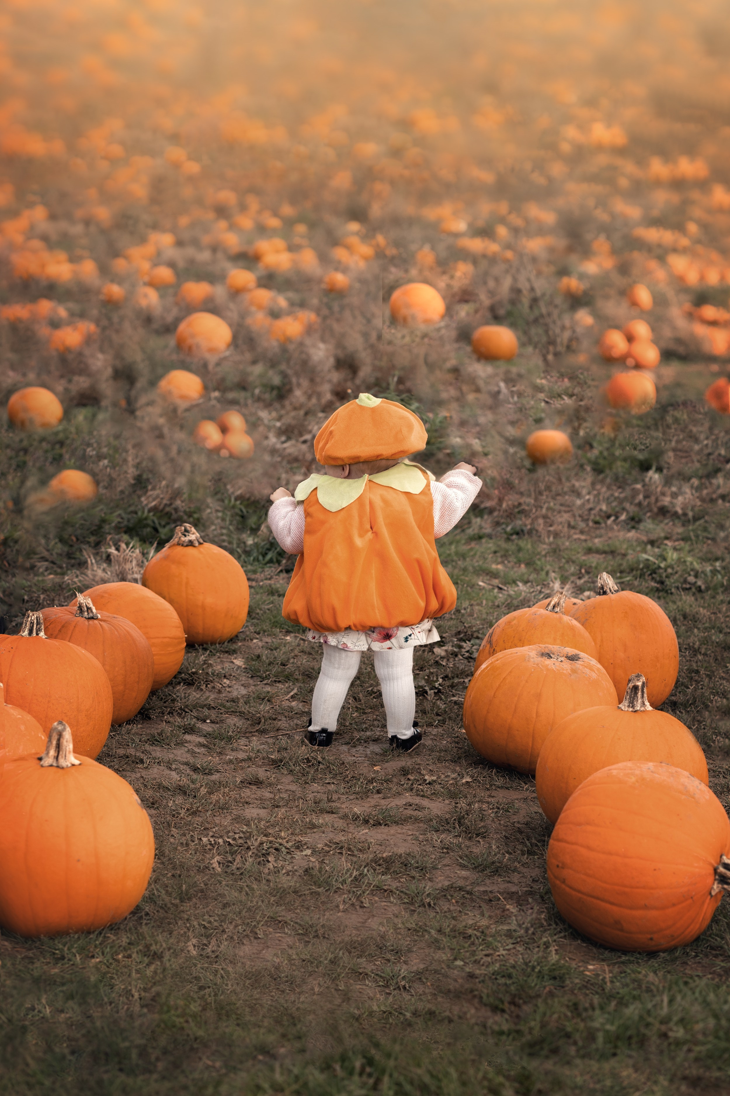 AUTUMN HERTFORDSHIRE MINI-SESSIONS. Stevenage, Hertfordshire family, maternity and newborn photographer