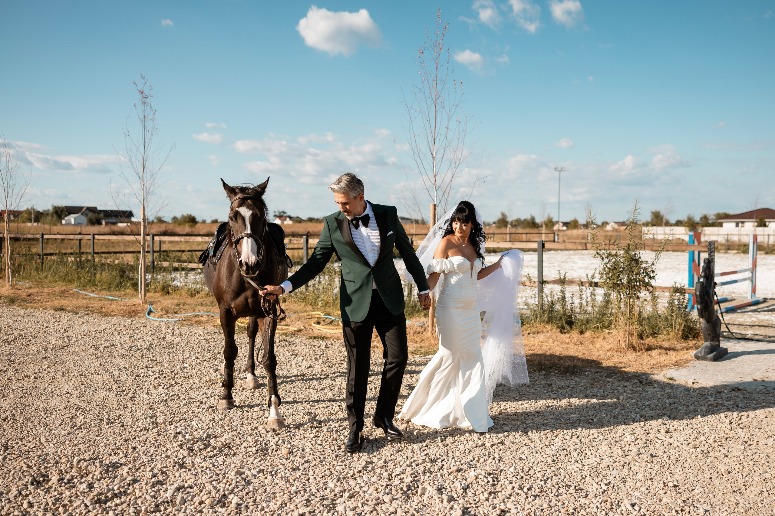 Corina & Adrian. Blink Photo — Fotografie & Videografie Nuntă