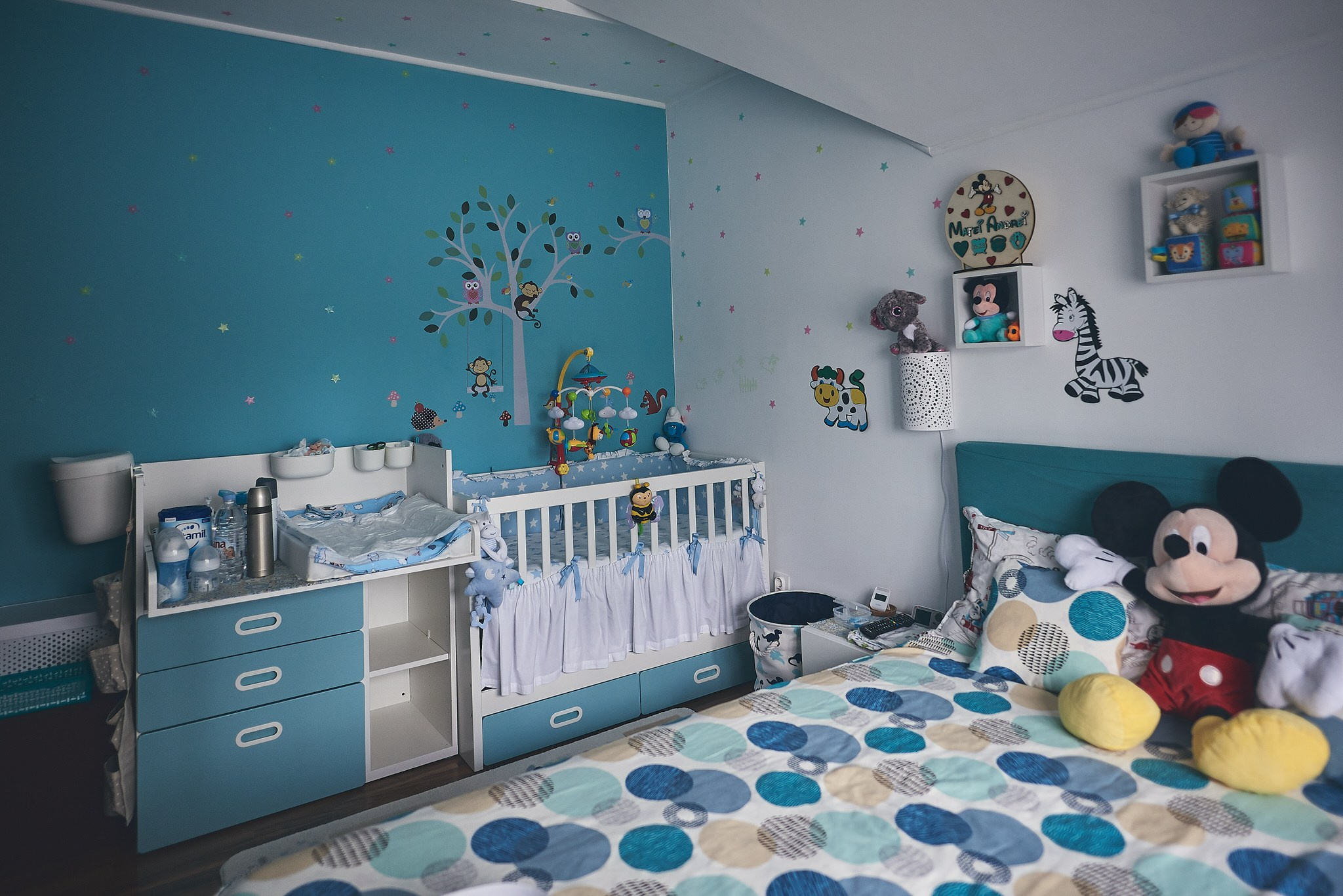 Matei Andrei. Georgescu Alexandru Fotograf