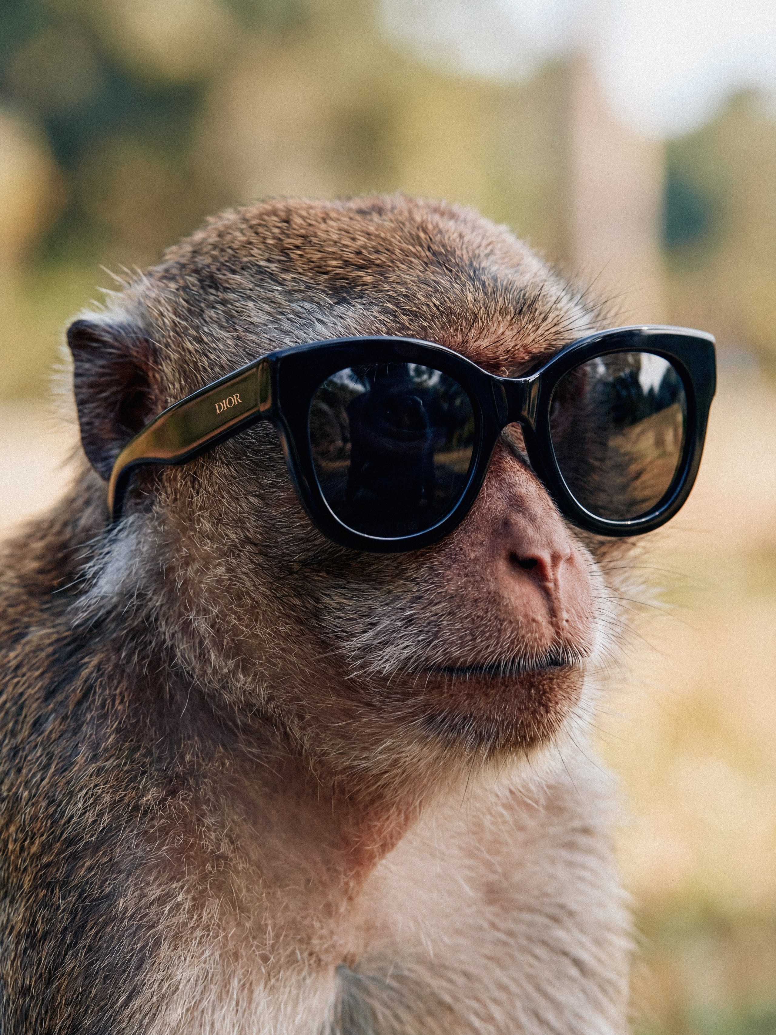 Photos of places around the World