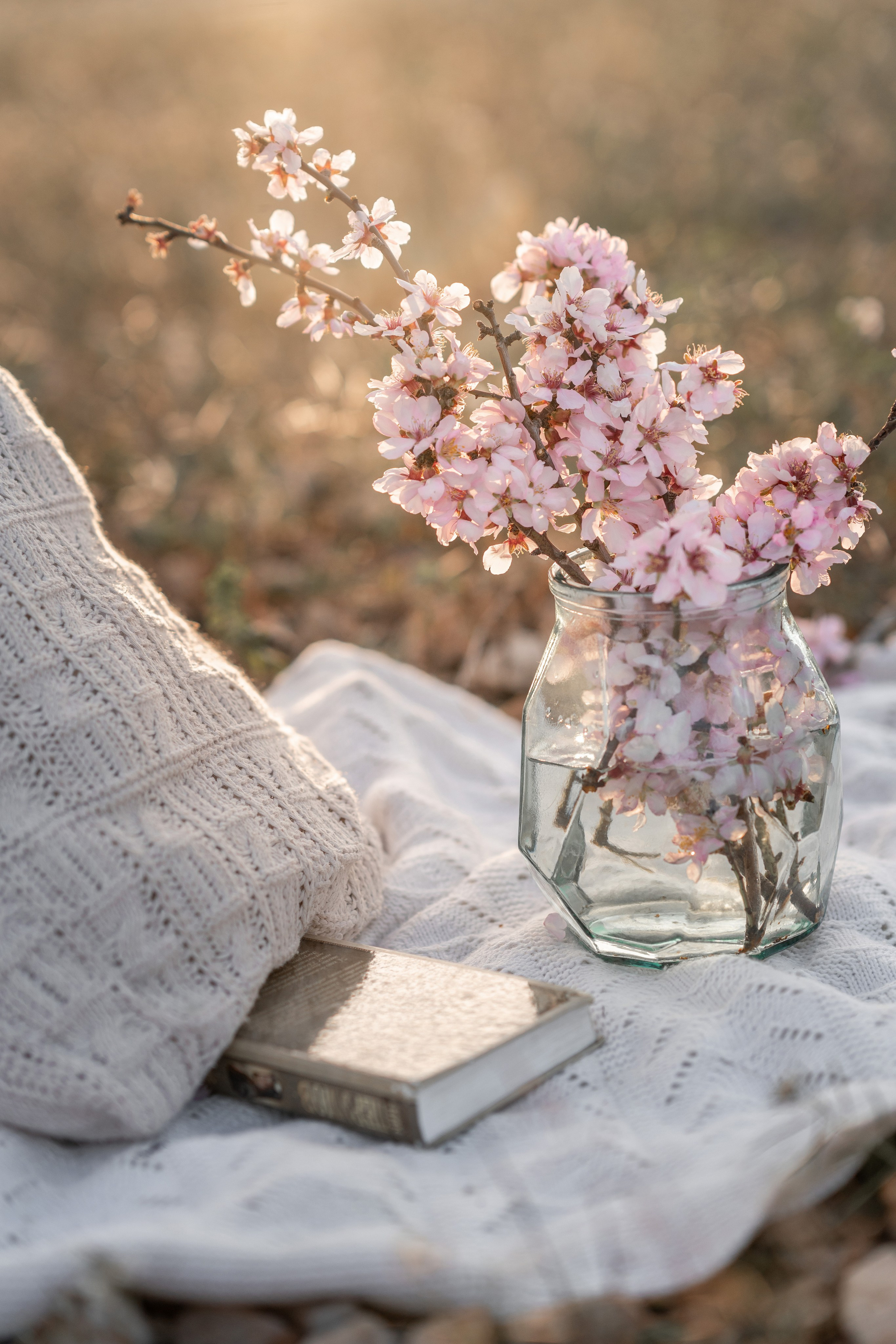 El florecer de los almendros. Fotografía Infantil, Familiar y Personal en Benidorm y Costa Blanca Anastasiya López