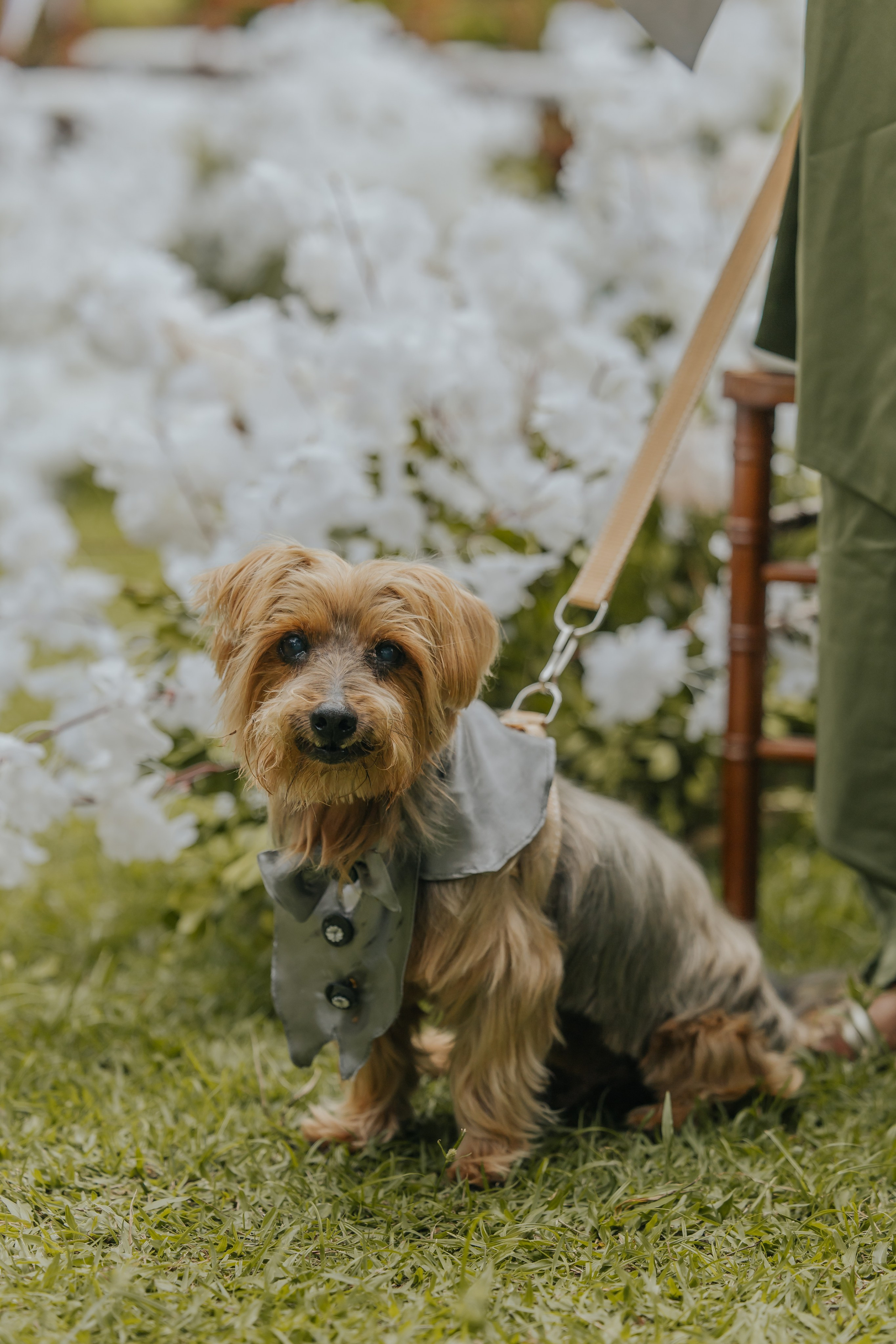 Clara & Ryan. Fotógrafo de Casamentos na Bahia — Richard Silvestre