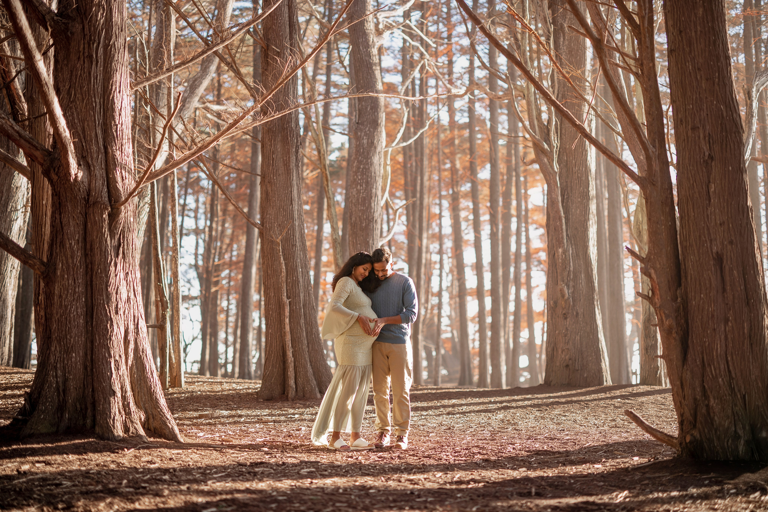 Forest. Bay Area Photographer: family, maternity, love story, wedding
