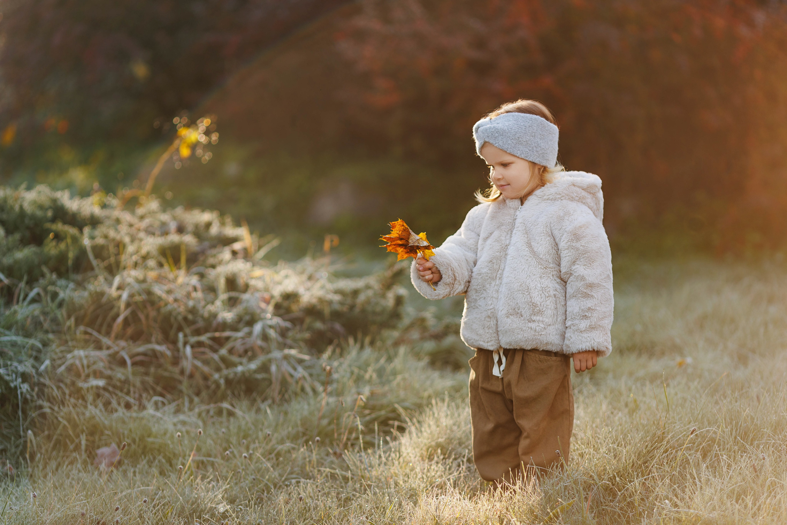 Golden moments. Family photographer in Vilnuis Svetlana Naumova
