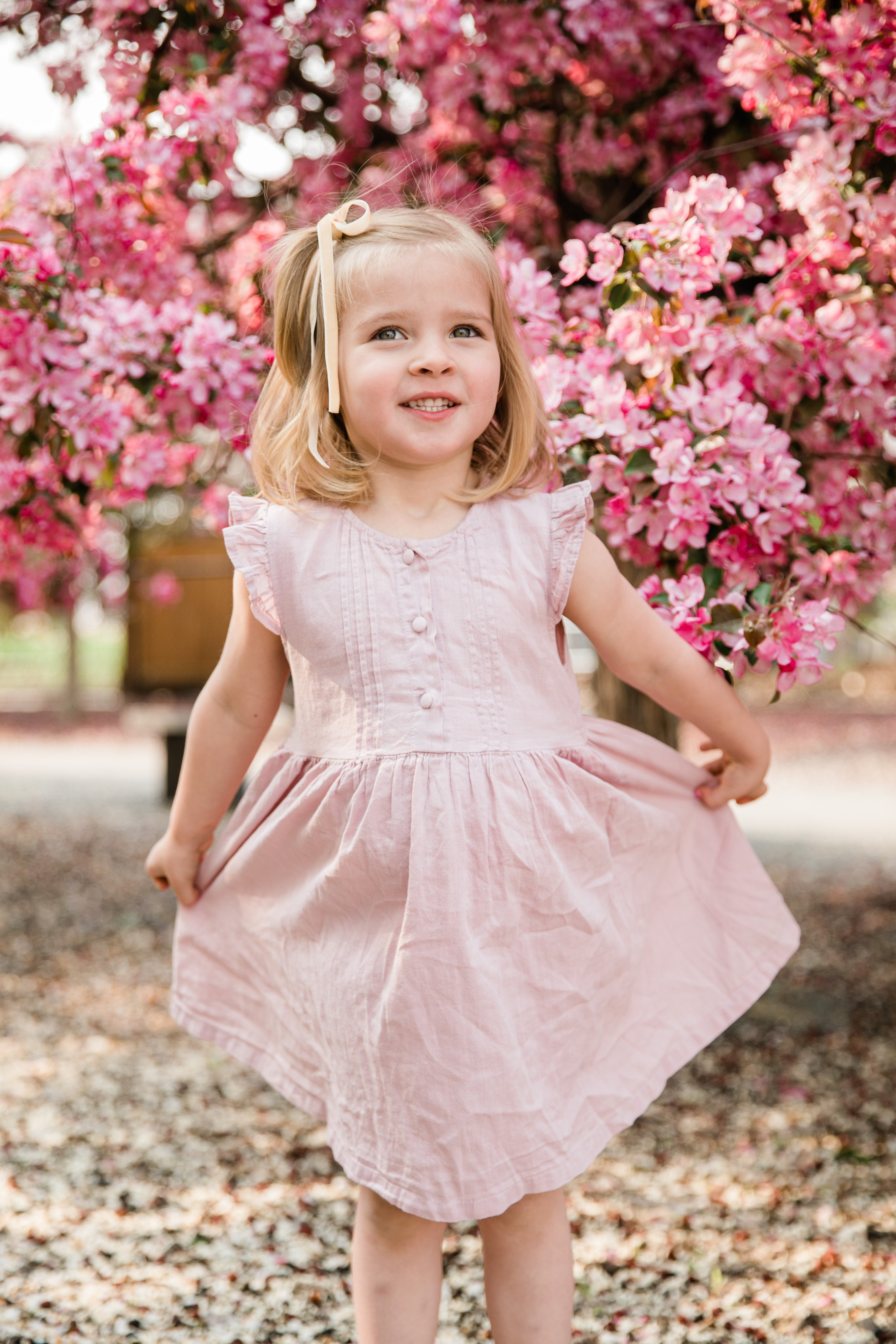 Pitchers Family Photos — Cherry Blossom. Fotografía accesible en Calgary