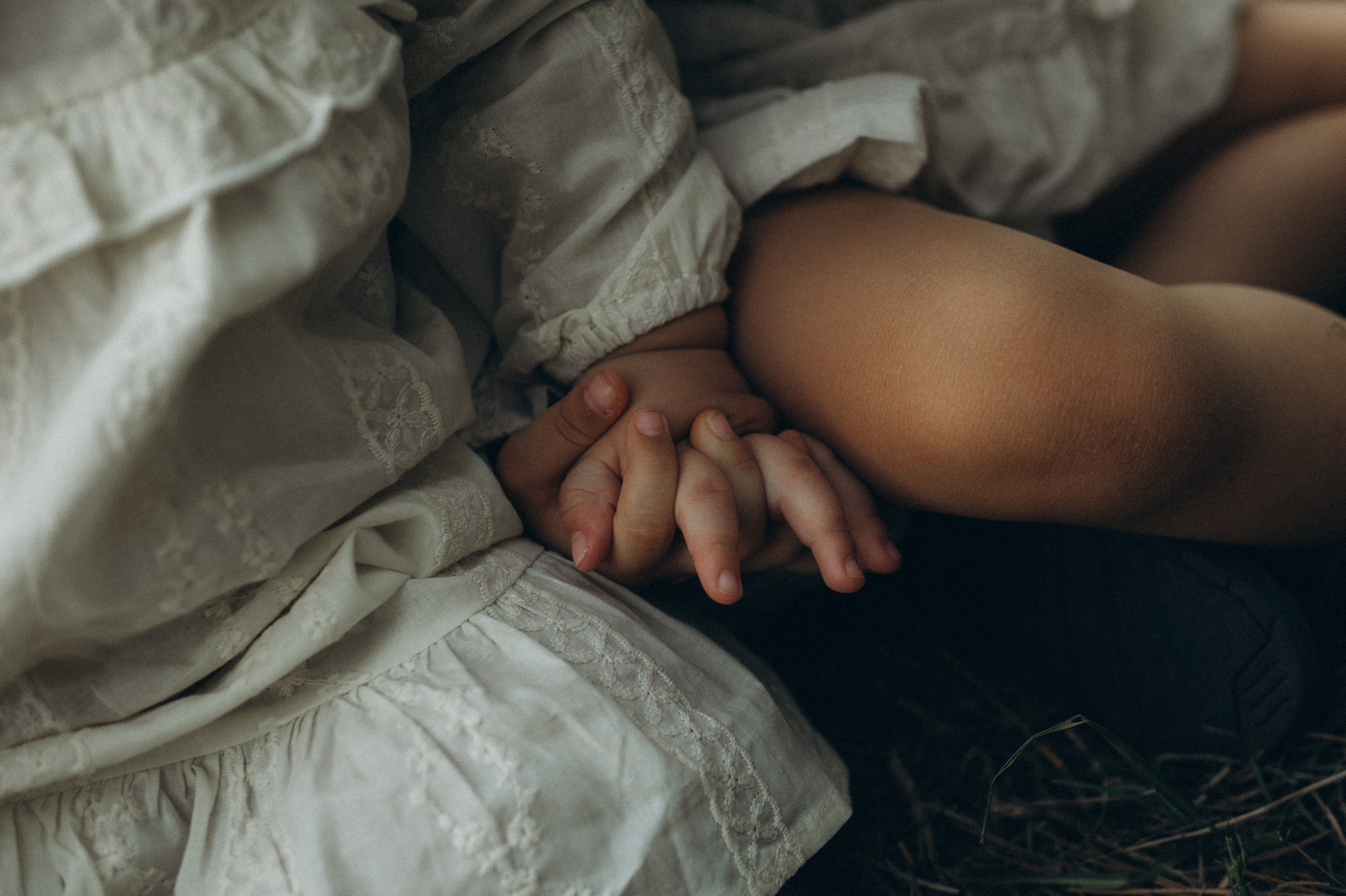 The Woodlands. Lens Captures Life