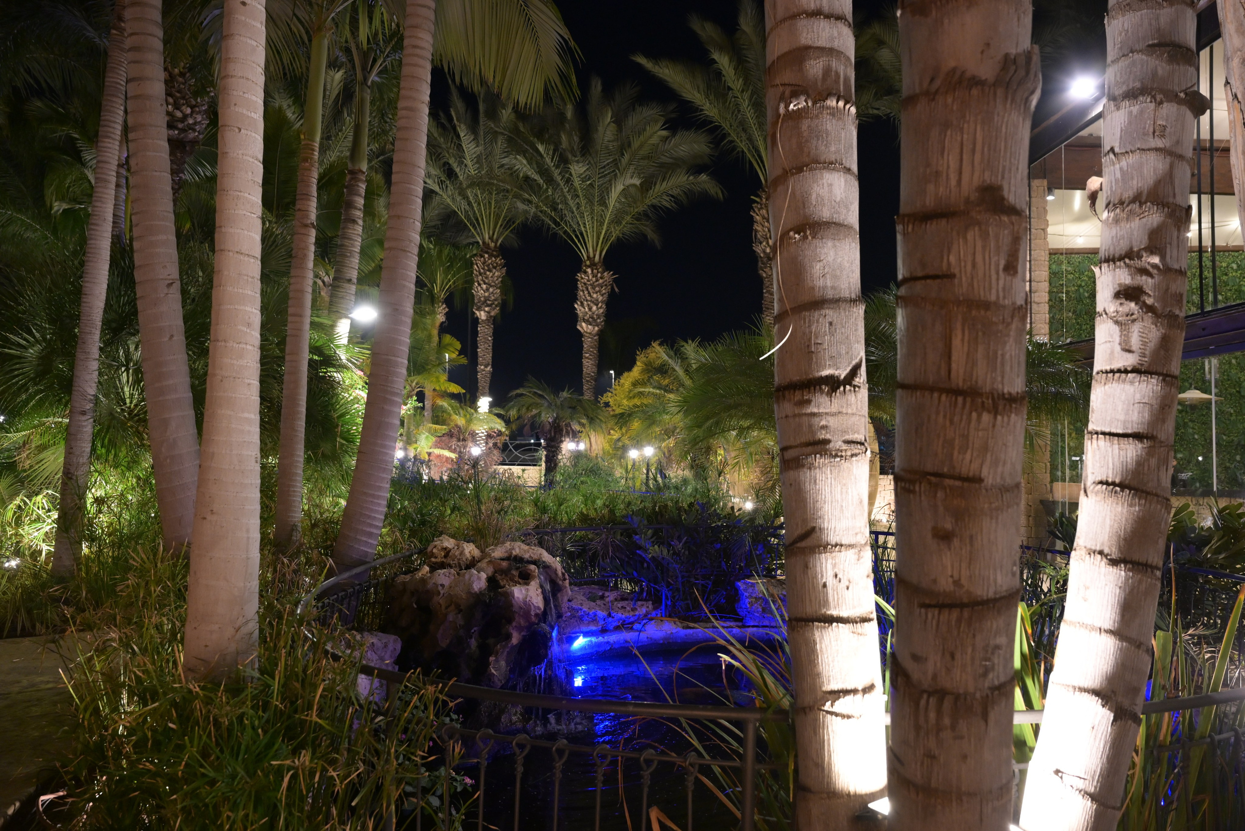 טרויה. Wedding and events photographers Studio Shalom