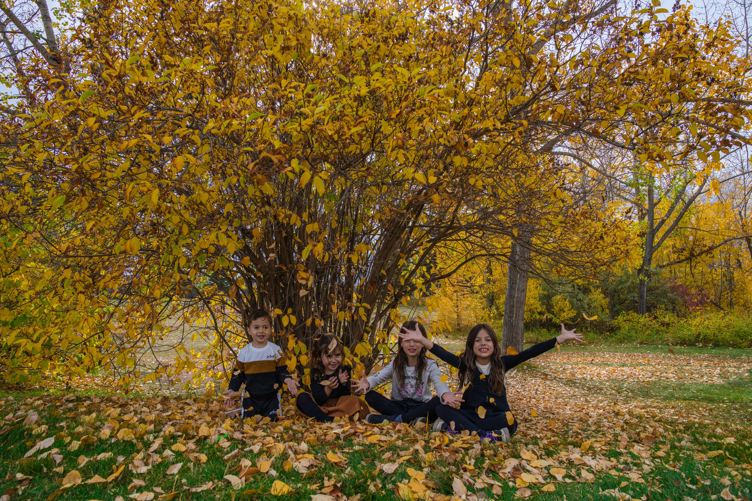 Ariana’s Family. Carlos Lima Photography — Photographer in Calgary