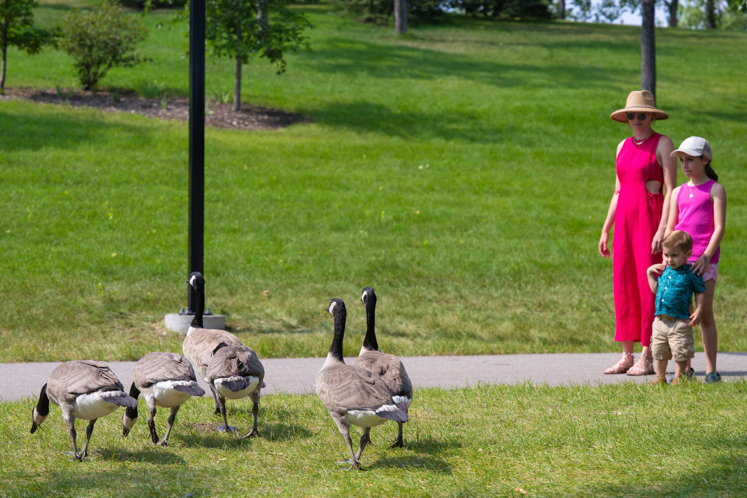Joshua’s Party. Carlos Lima Photography — Photographer in Calgary