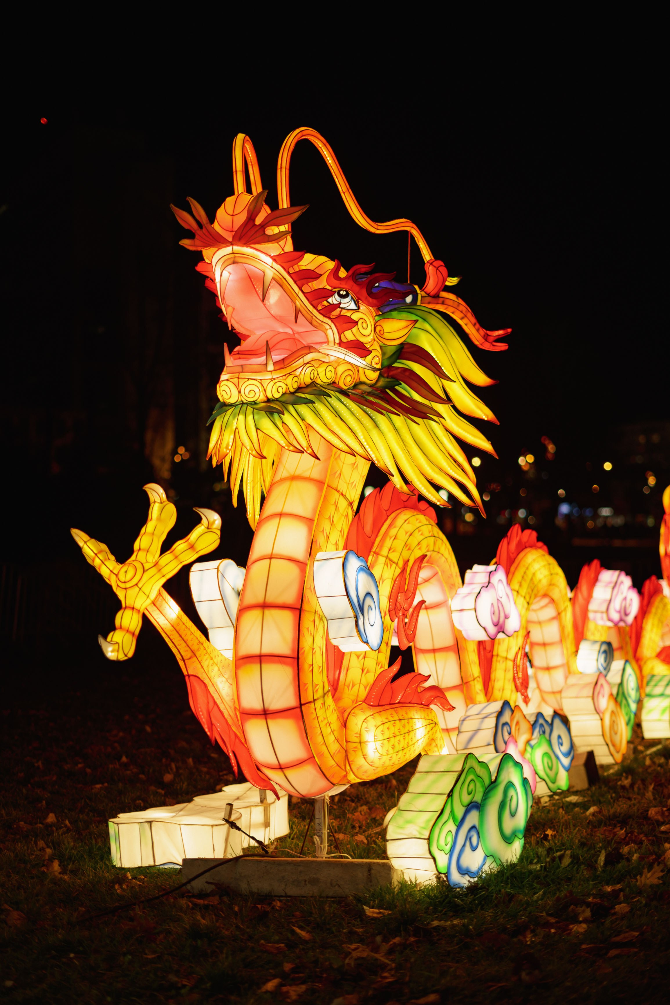 Svecano otvaranje Kineskog festivala svetla u Novom Sadu. Žukov Studio