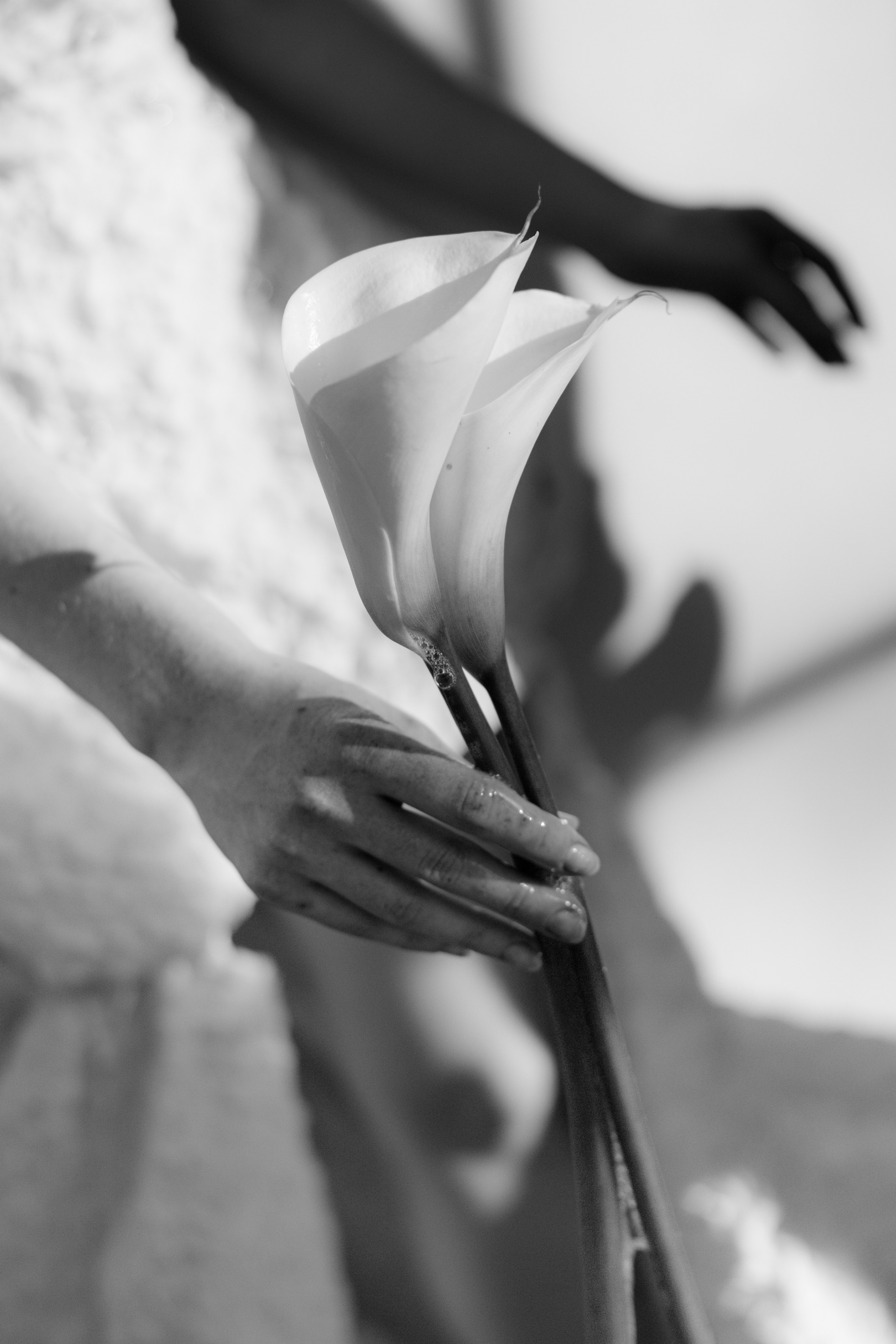 Wedding. Photographe de mariages, couples et familles