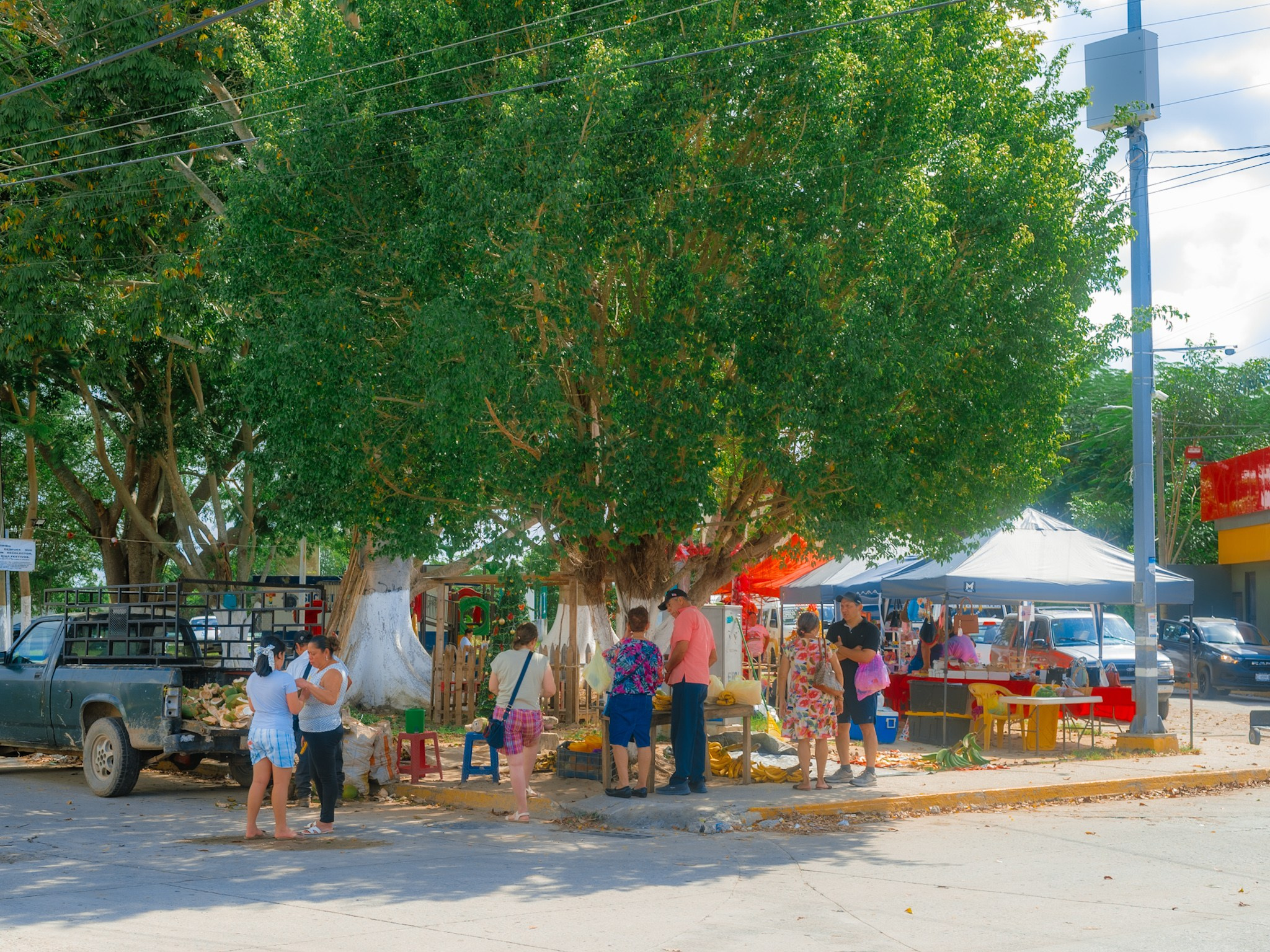 Estrellas de Buena Vista. 2025. Fotógrafo en Villahermosa | ERALPUCHE