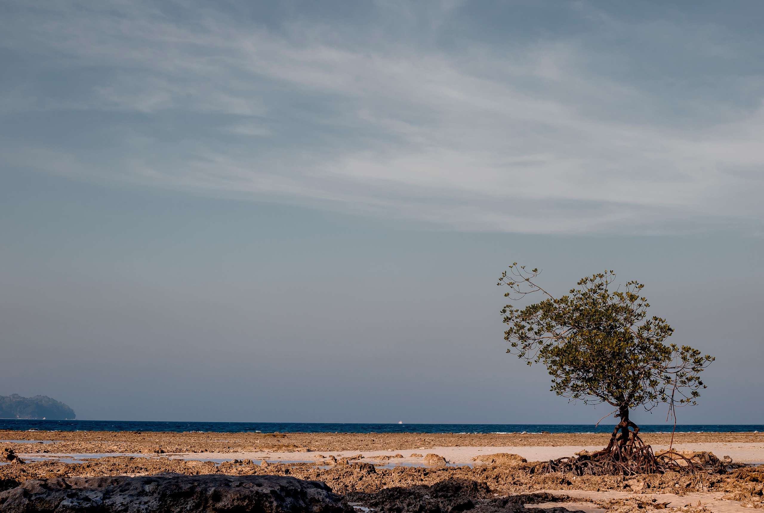 Andaman Islands, Part2. Art Photographer