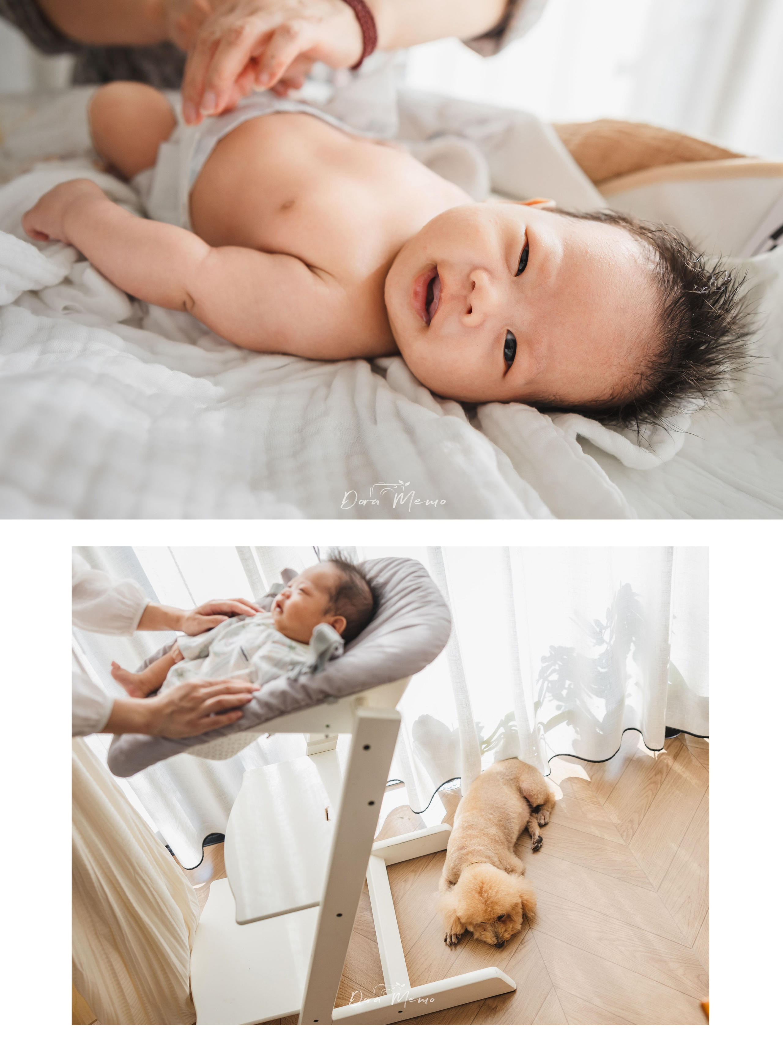 One Month Old, Growing Gently in the Light | Pet-Friendly Family Photography in Shanghai |. Shanghai Family Photographer Dora