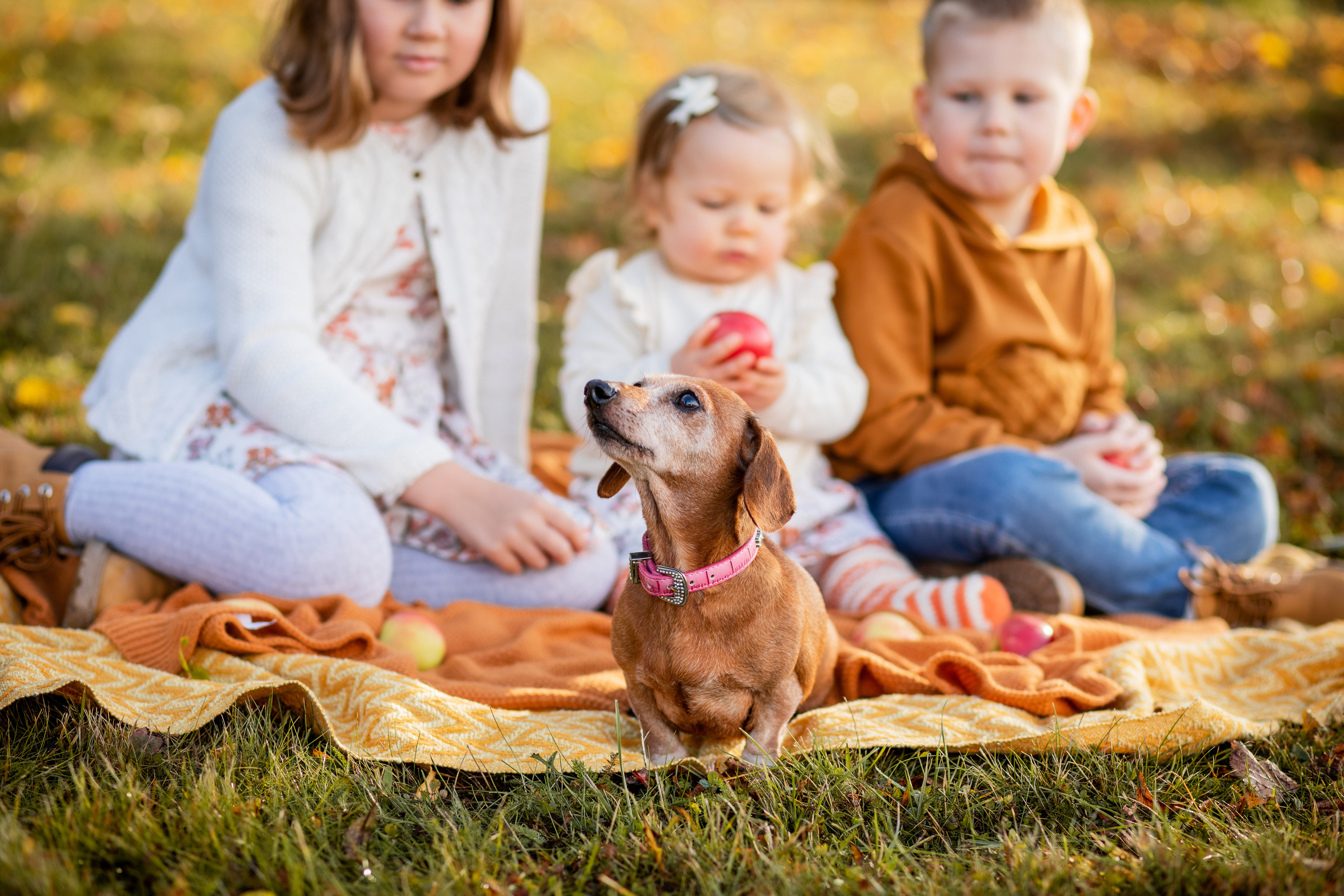 LAPSIKUVAUS. Valokuvaaja Itä-Uudellamaalla Viktoria photography