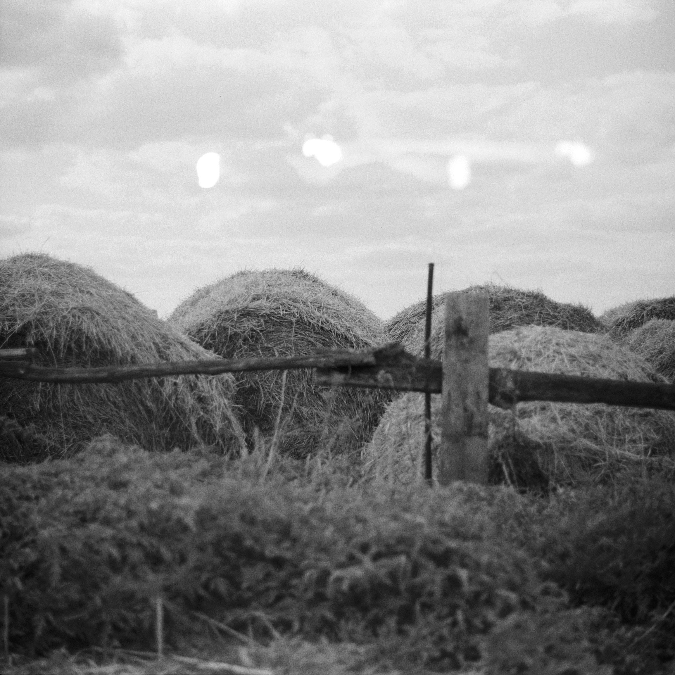 Grandmother. Ekaterina Fedorova