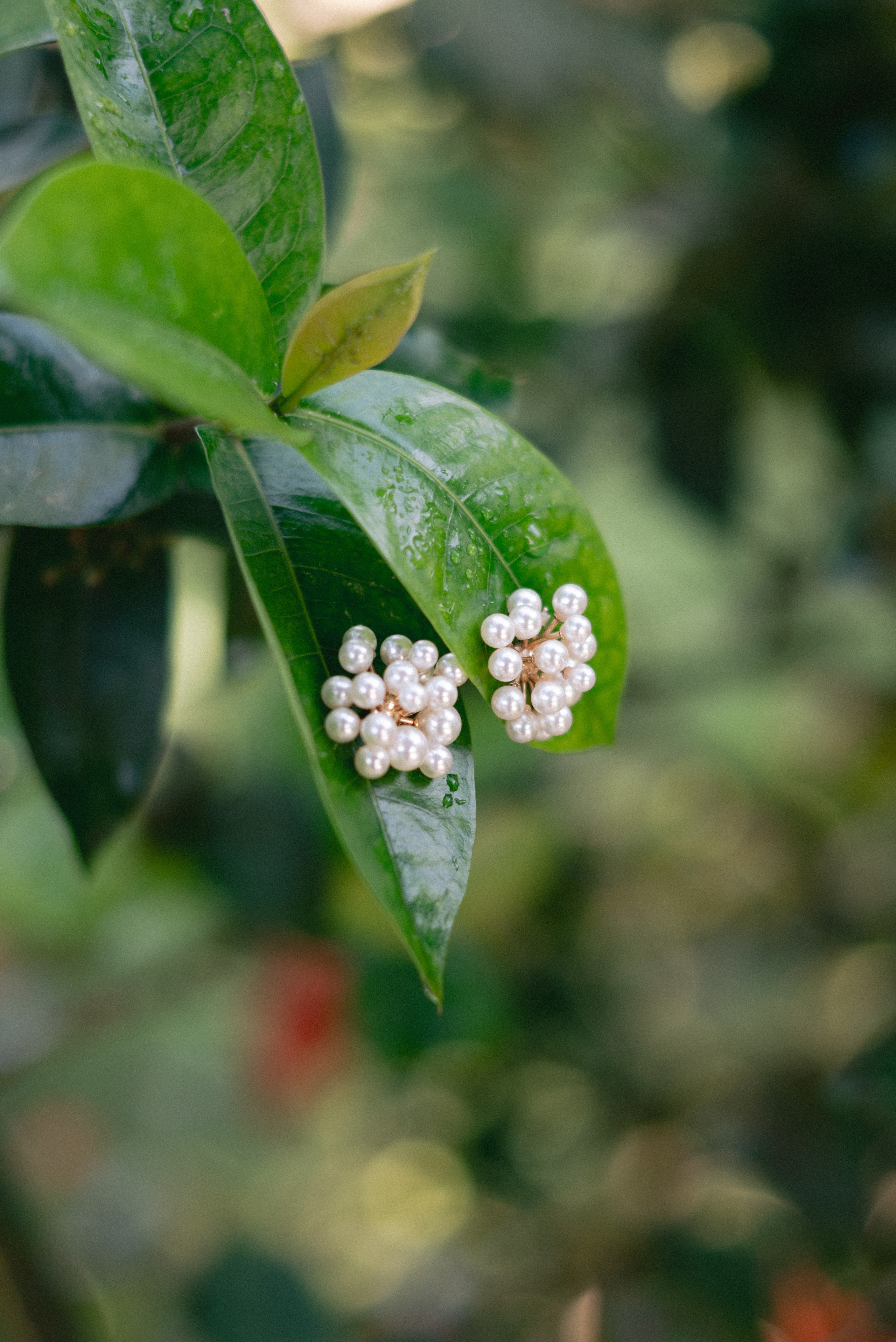 Leandro & Ketllin | Casamento. Junior Ribeiro Fotografia