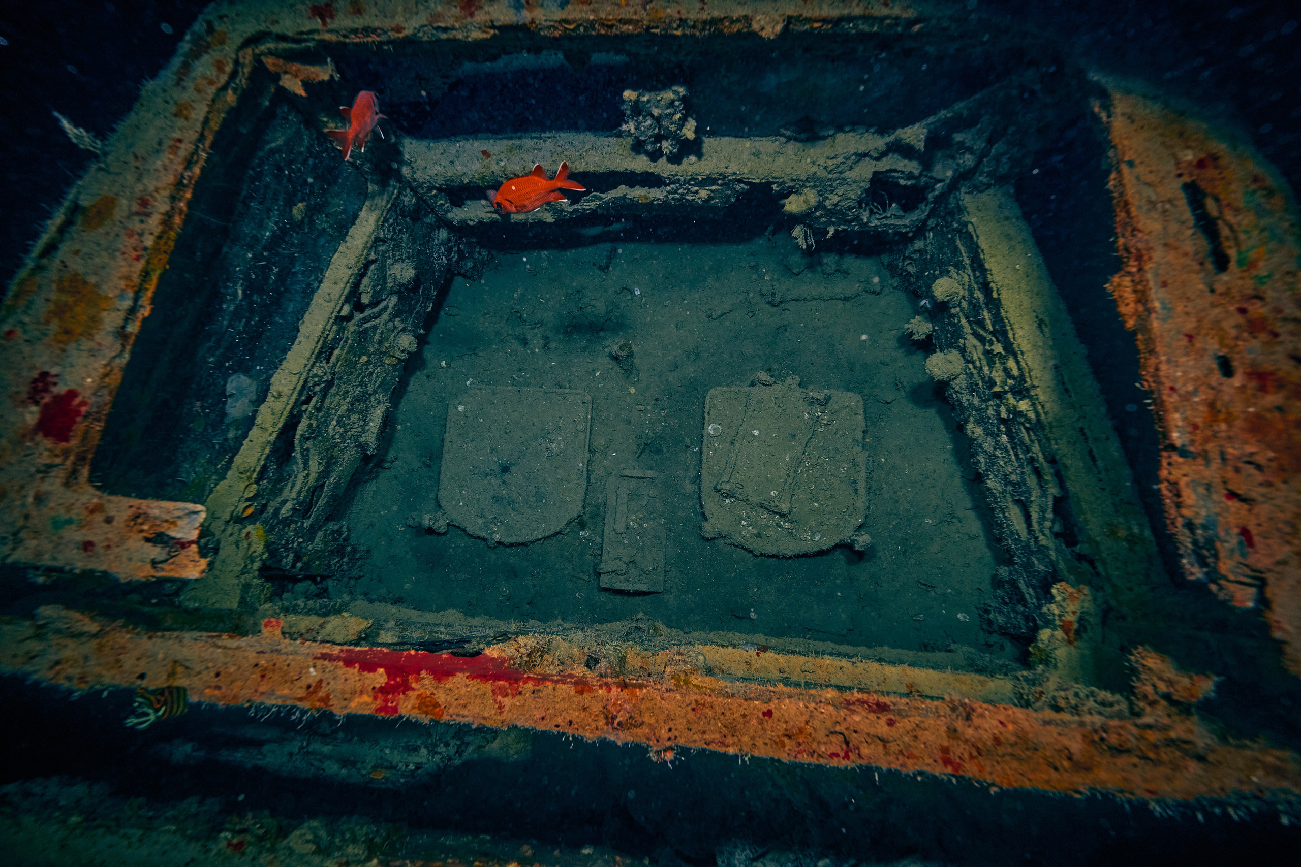 Underwater photographer Andriej Szypilow - photos of the mysterious SS Thistlegorm - sunken ship in the red sea