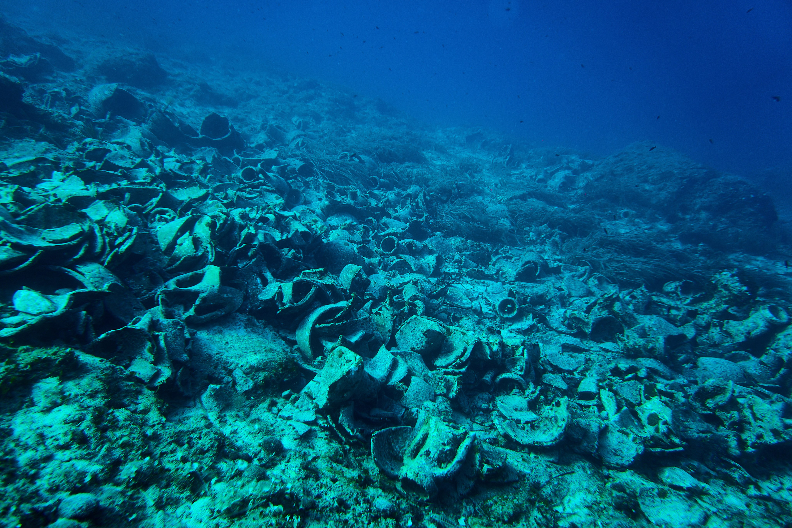 Fotograf podwodny Andriej Szypiłow. Андрей Шипилов — Фотография & Видеография