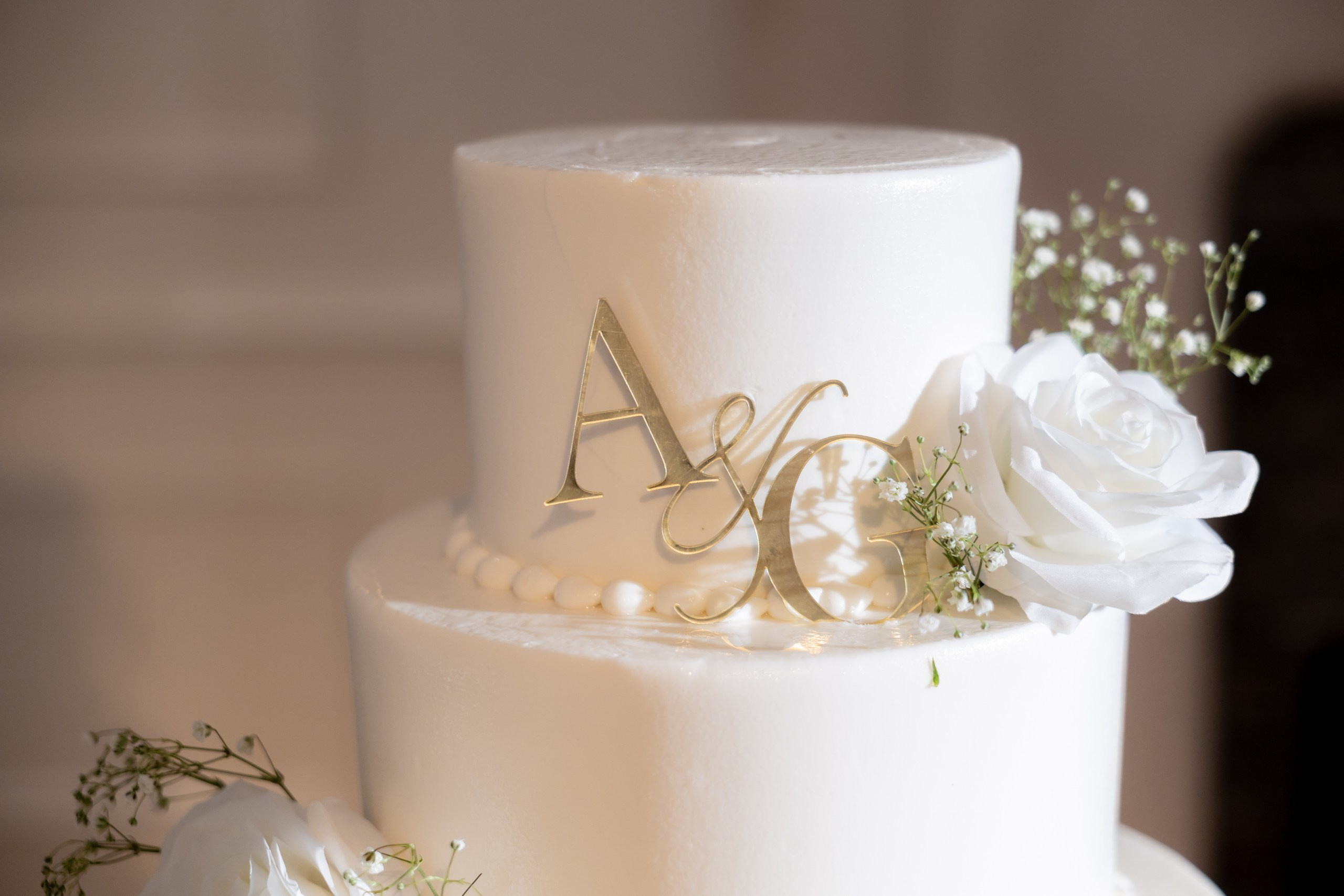 Anna & Gary at The Palace at Somerset Park, NJ. Wedding Photo & Video