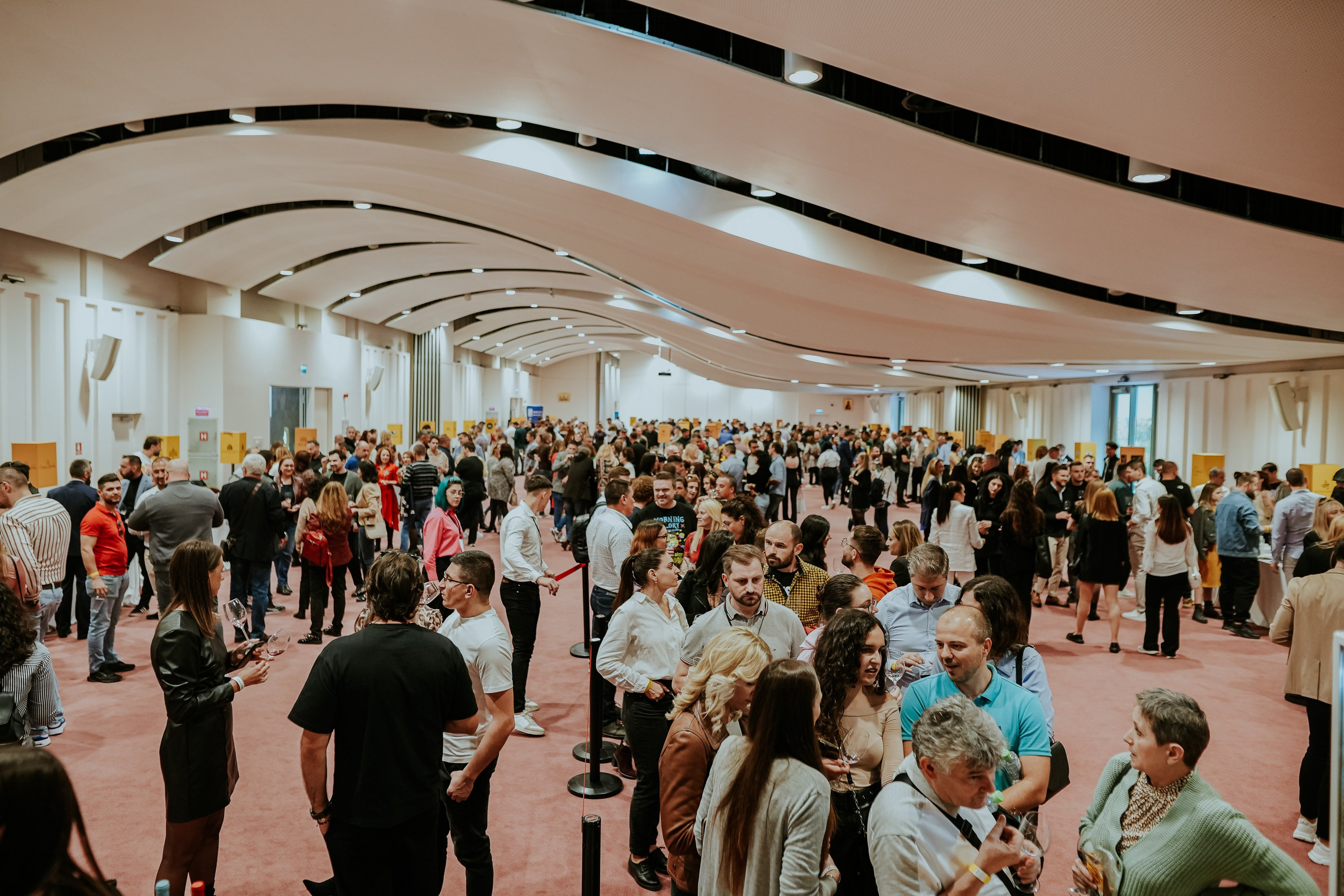 Hai cu Pluta — Wine Event. MARINABUGS