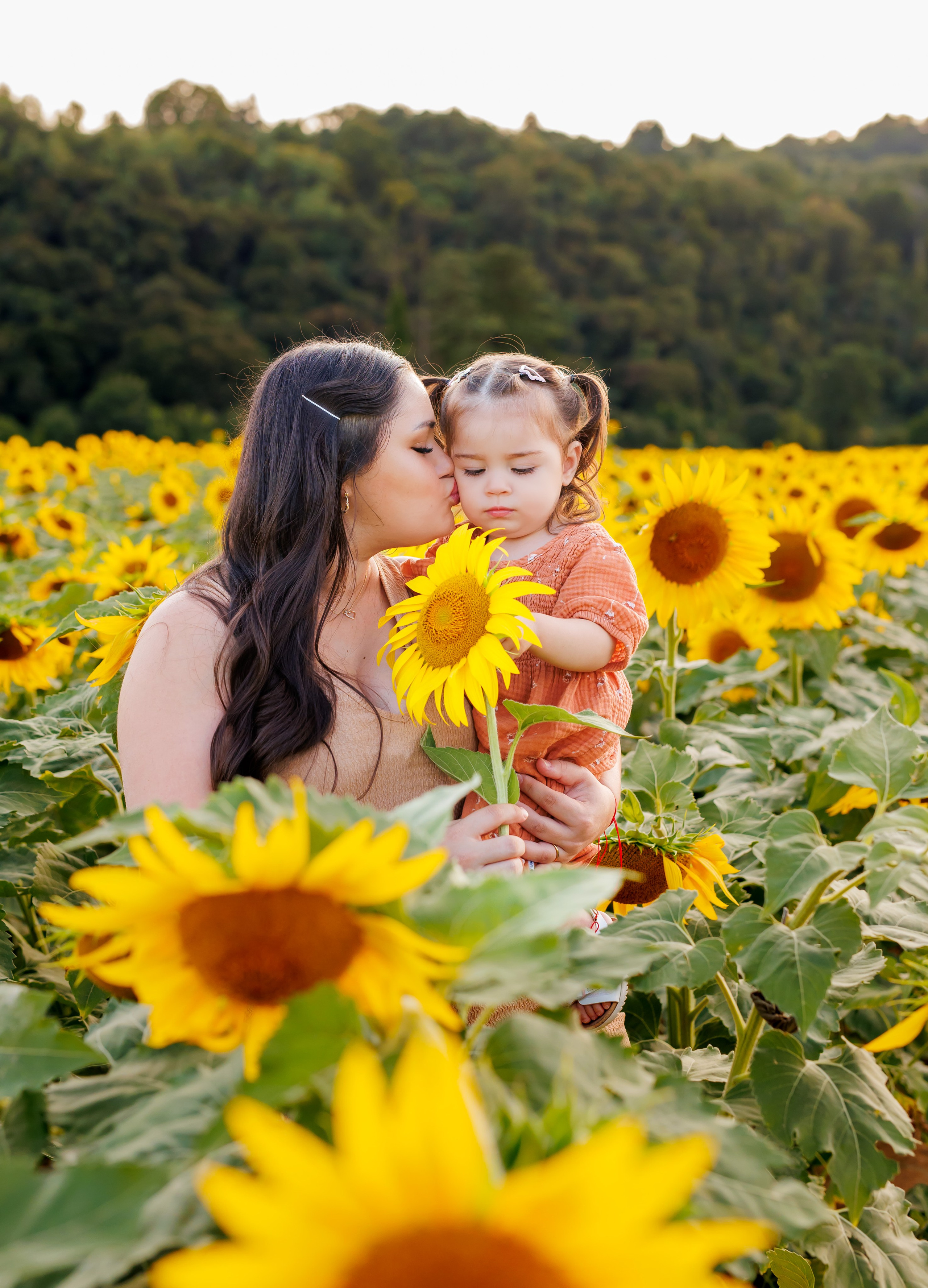 Un’estate tra i 🌻 girasoli- 2026. Luci e Capricci Photography