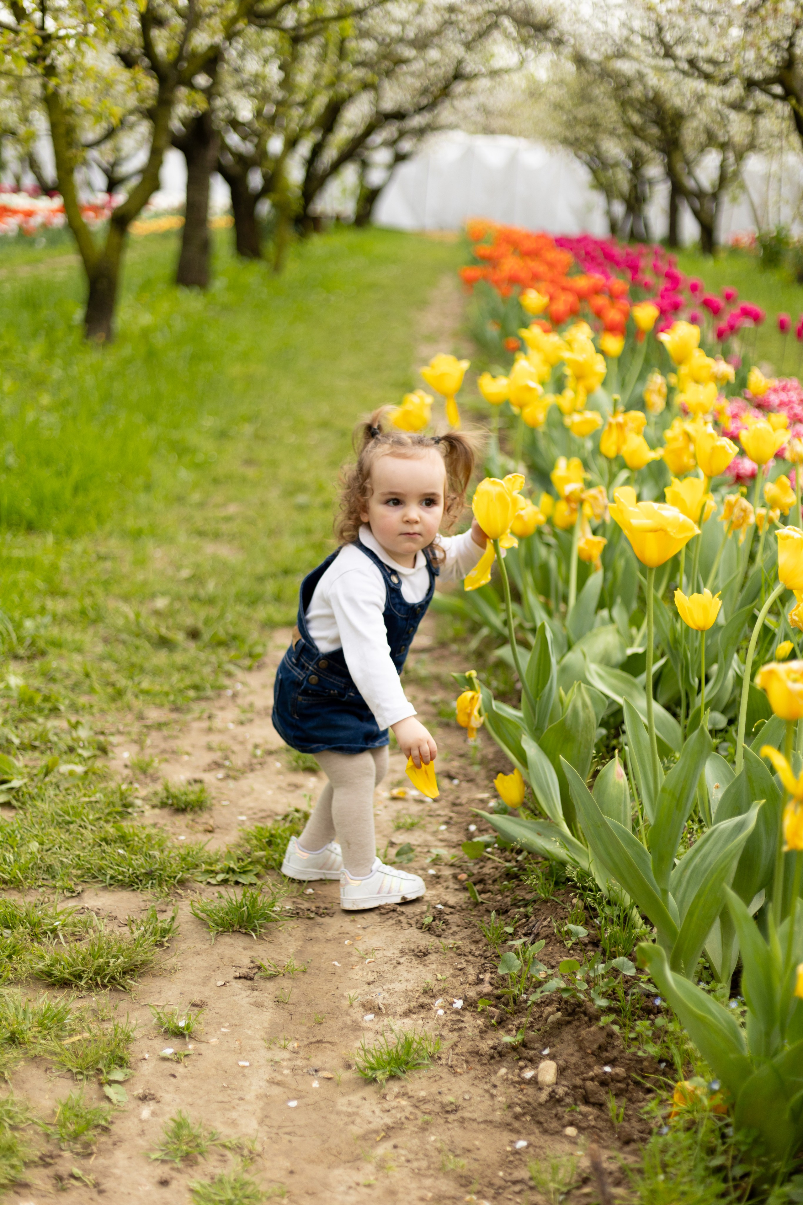 Noemi, Alessia e Sofia. Luci e Capricci Photography