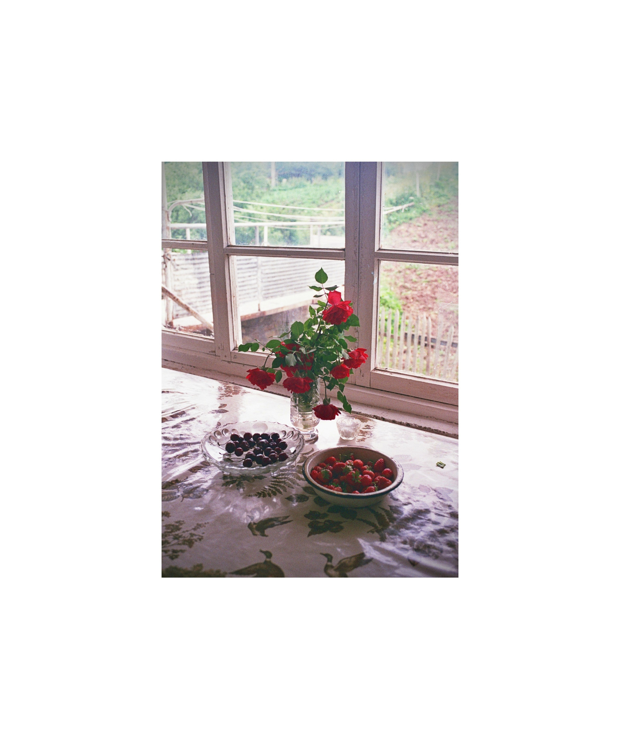 Short Memoir. Lilit Danielyan | photographer| filmmaker | teaching artist