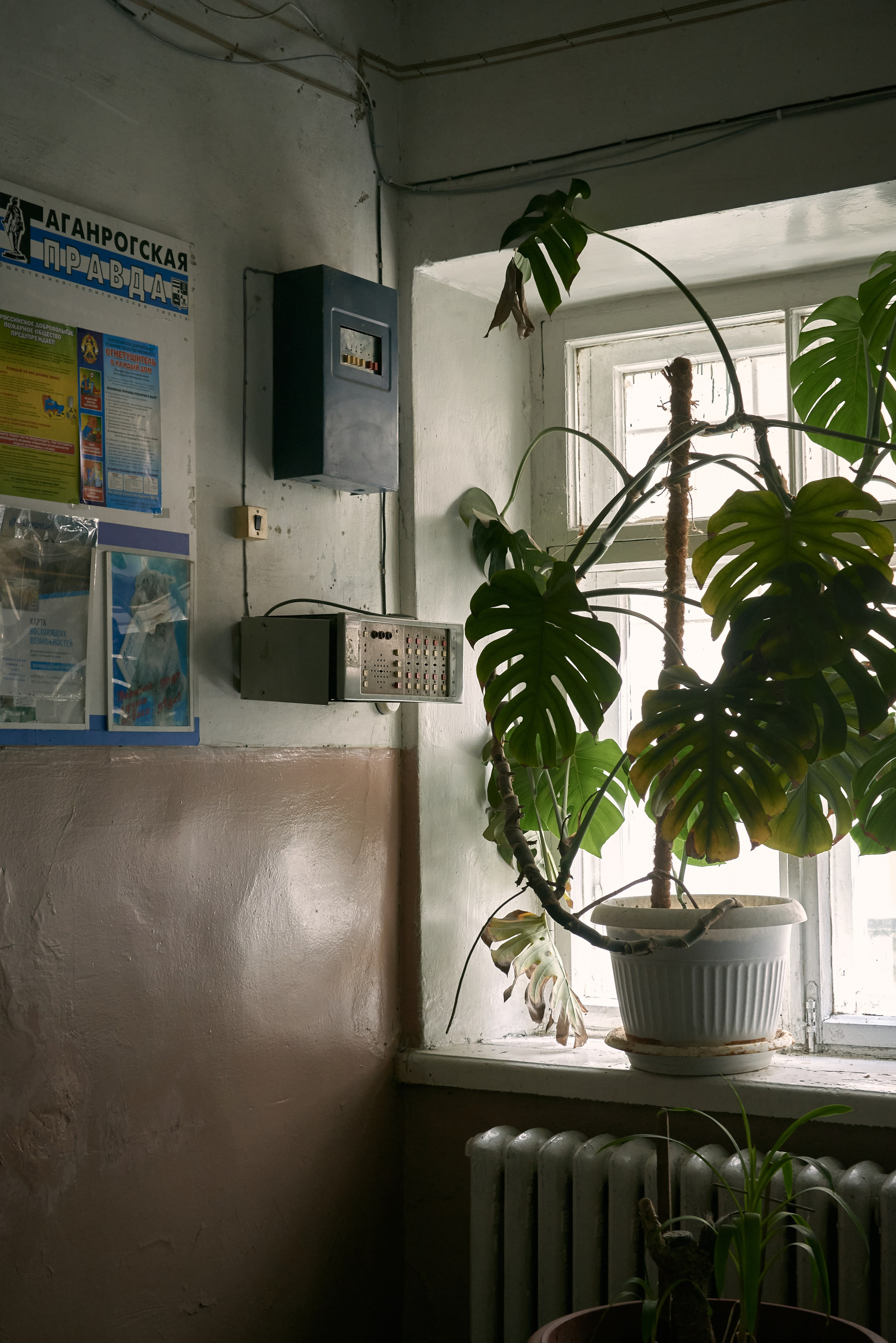 Taganrogskaya pravda. Visual artist