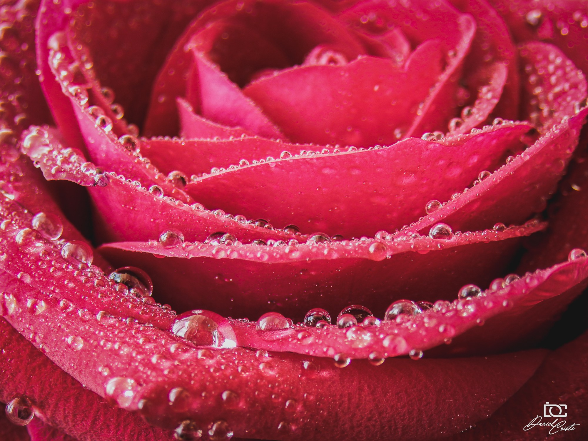 Peisaj /natura. Daniel Criste Fotograf