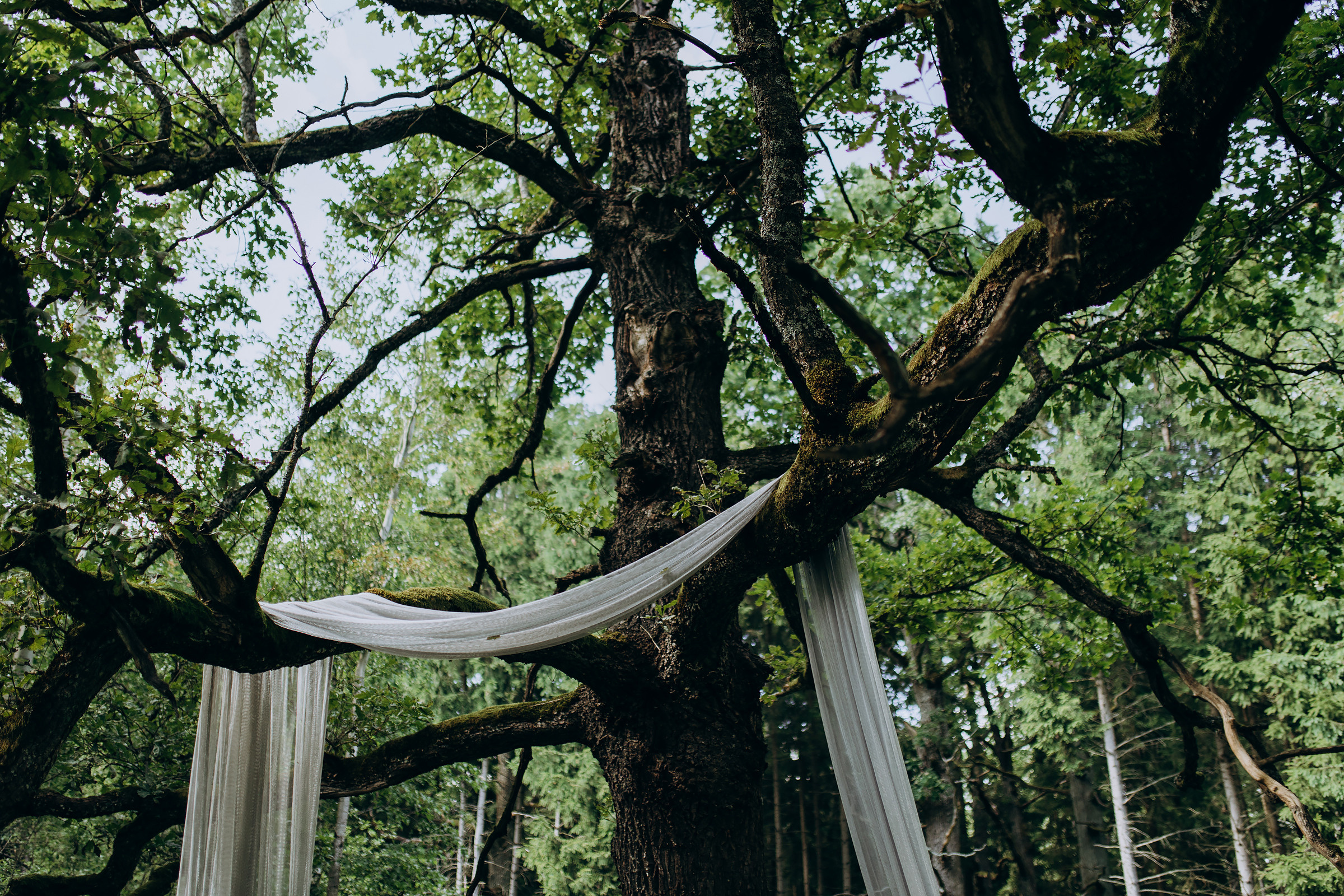 Kristina ir Dainius | 2022 | FOOD IN THE WOOD. Vestuvių ir šeimų fotografė Lena Bondarenko / belove photo