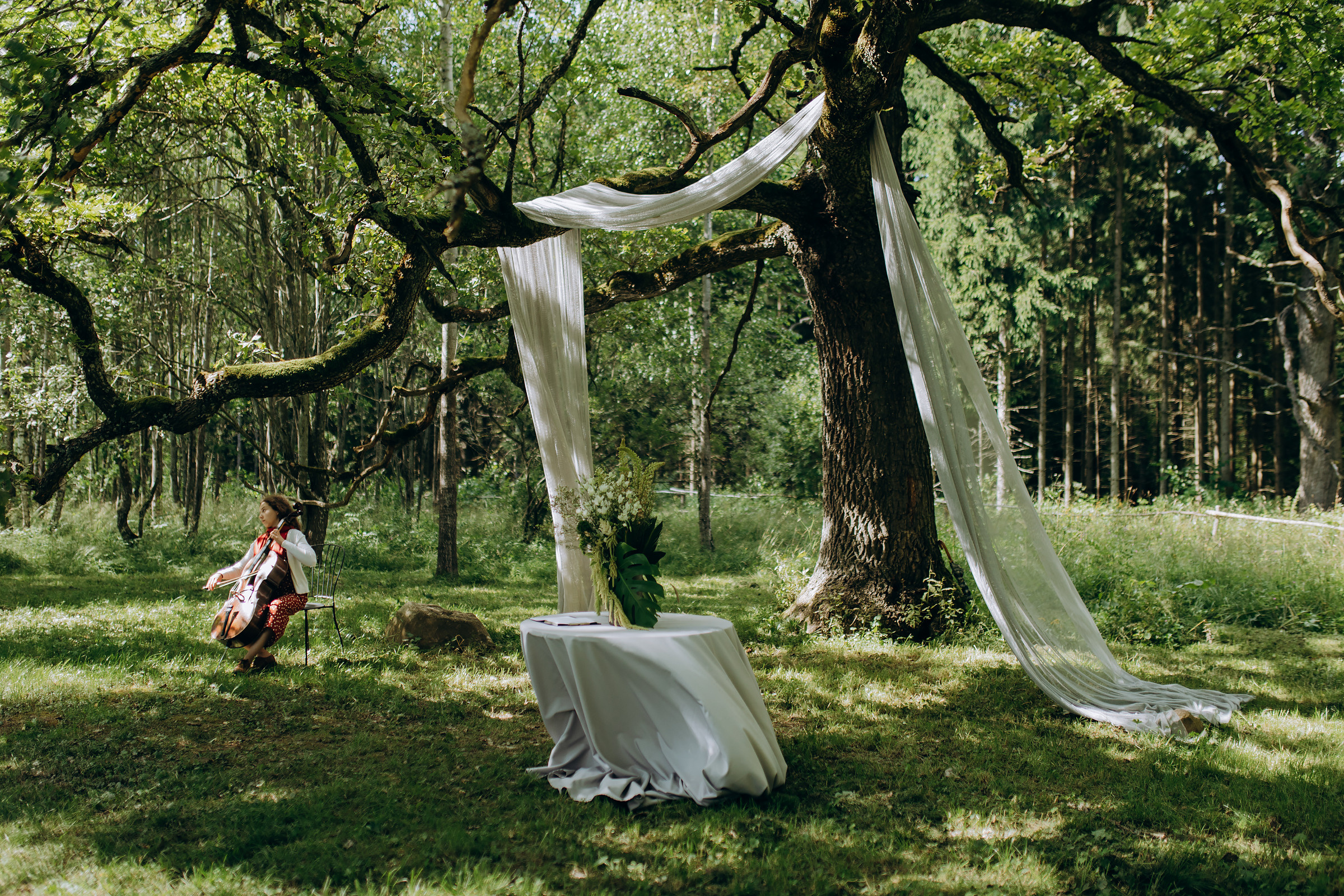 Kristina ir Dainius | 2022 | FOOD IN THE WOOD. Vestuvių ir šeimų fotografė Lena Bondarenko / belove photo