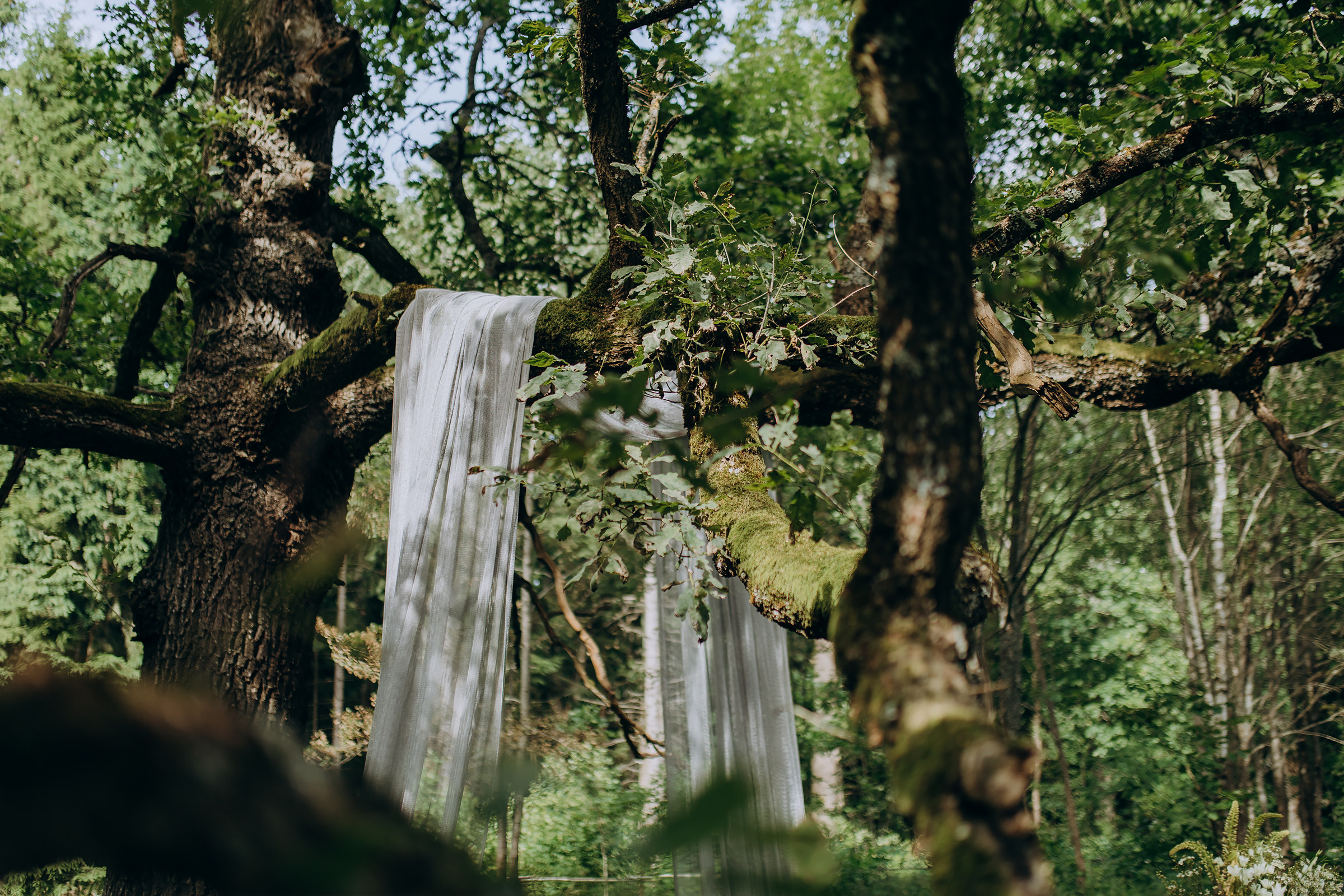 Kristina ir Dainius | 2022 | FOOD IN THE WOOD. Vestuvių ir šeimų fotografė Lena Bondarenko / belove photo