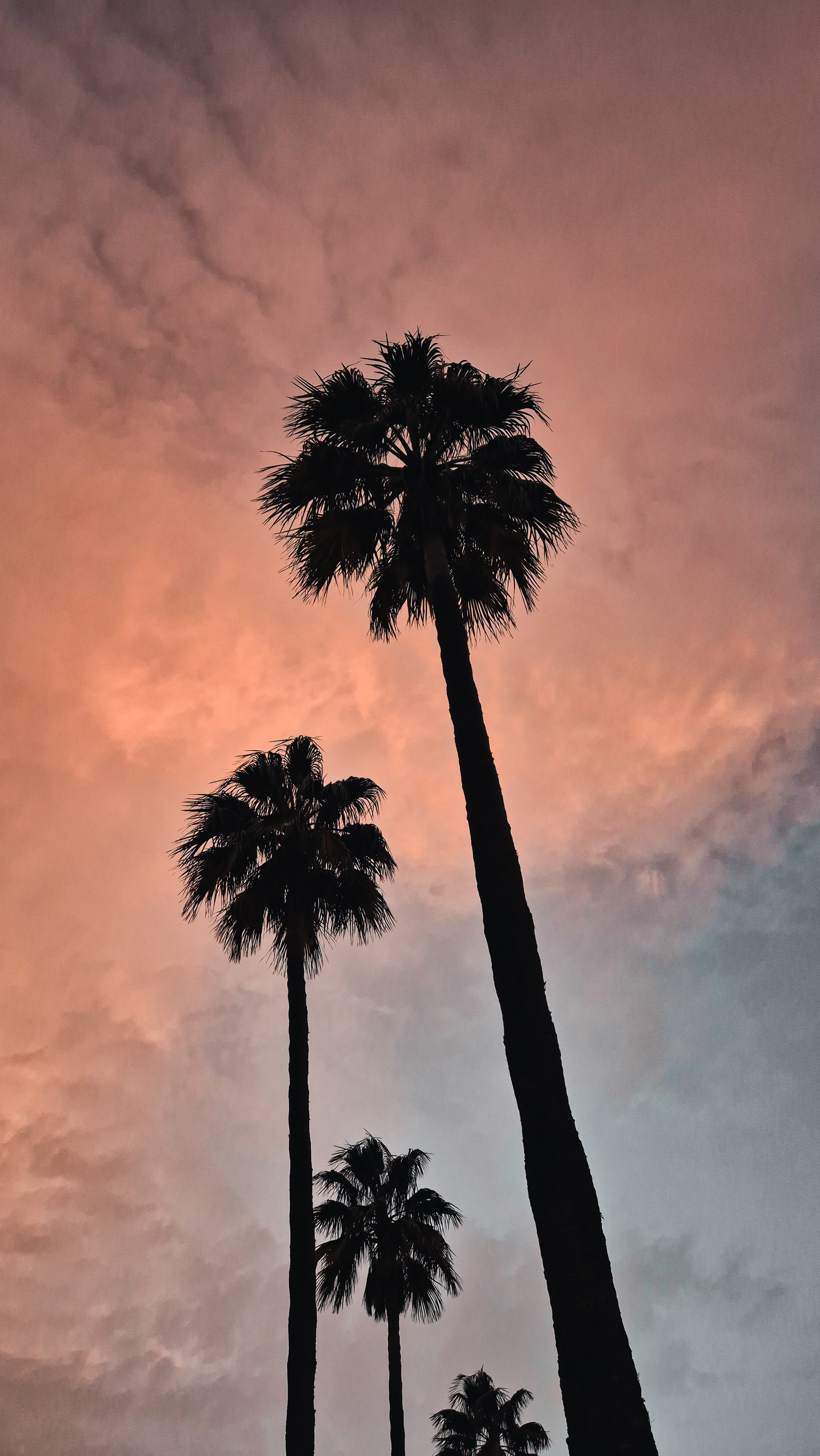 Gran Canaria 2025. Photographer Marina, city of Nuremberg