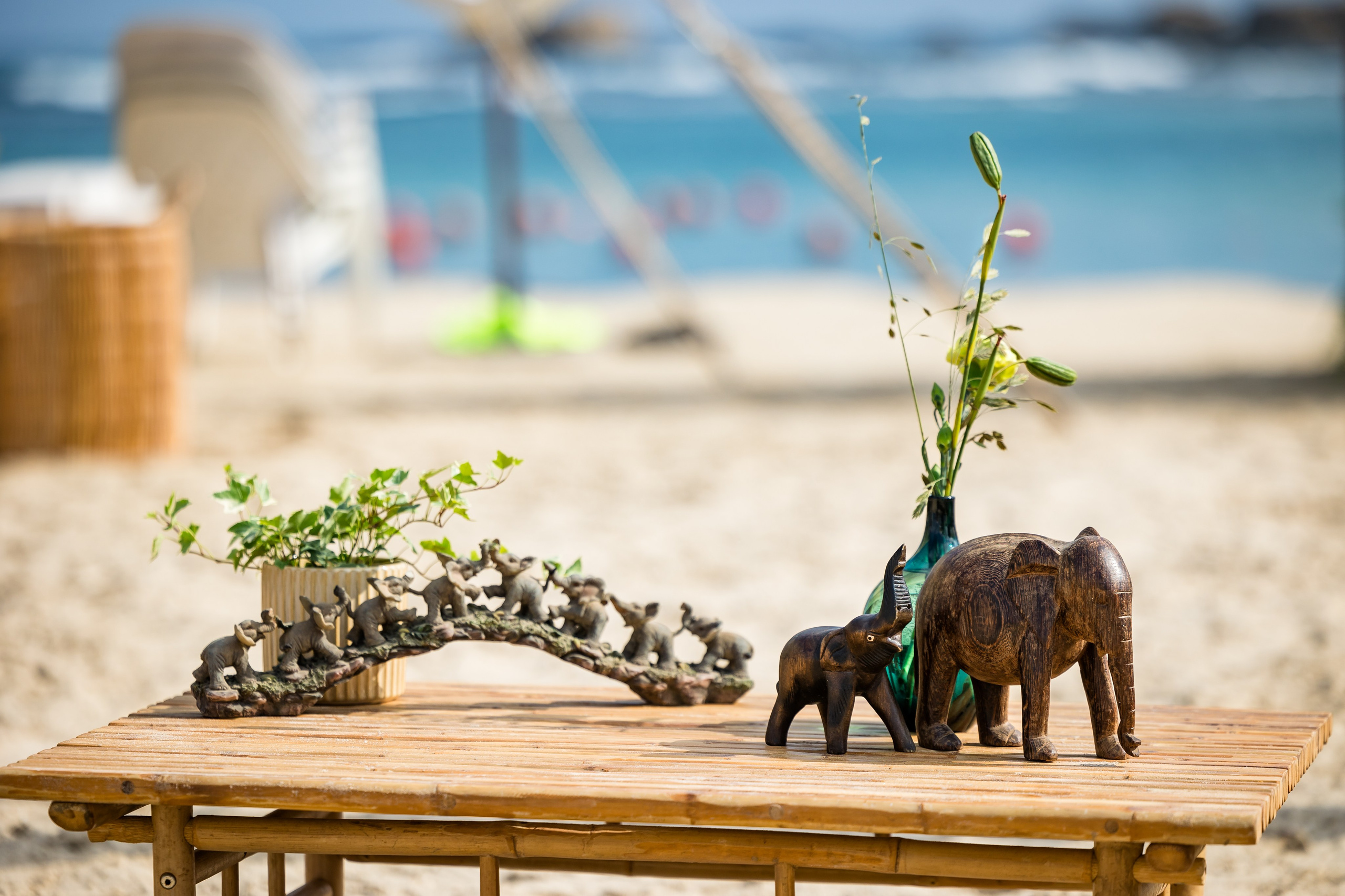 Qualcomm 2024 summer event. AMIR BUCHNIK PHOTOGRAPHER