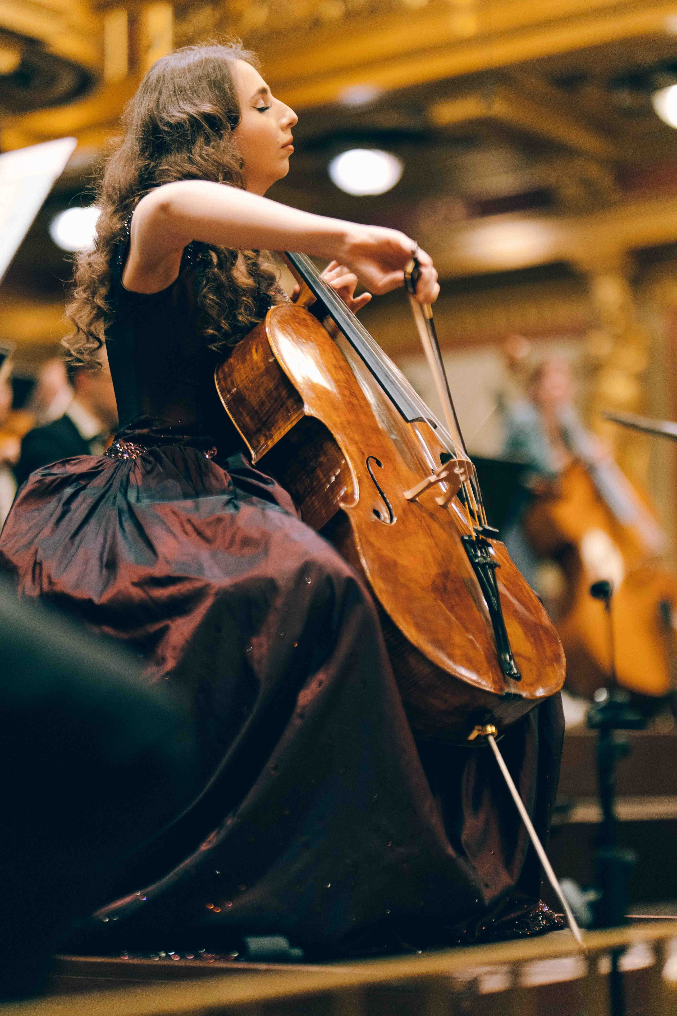 MUSIKVEREIN (VIENNA). Wedding&Event photographer Ismail Rzayev in Baku