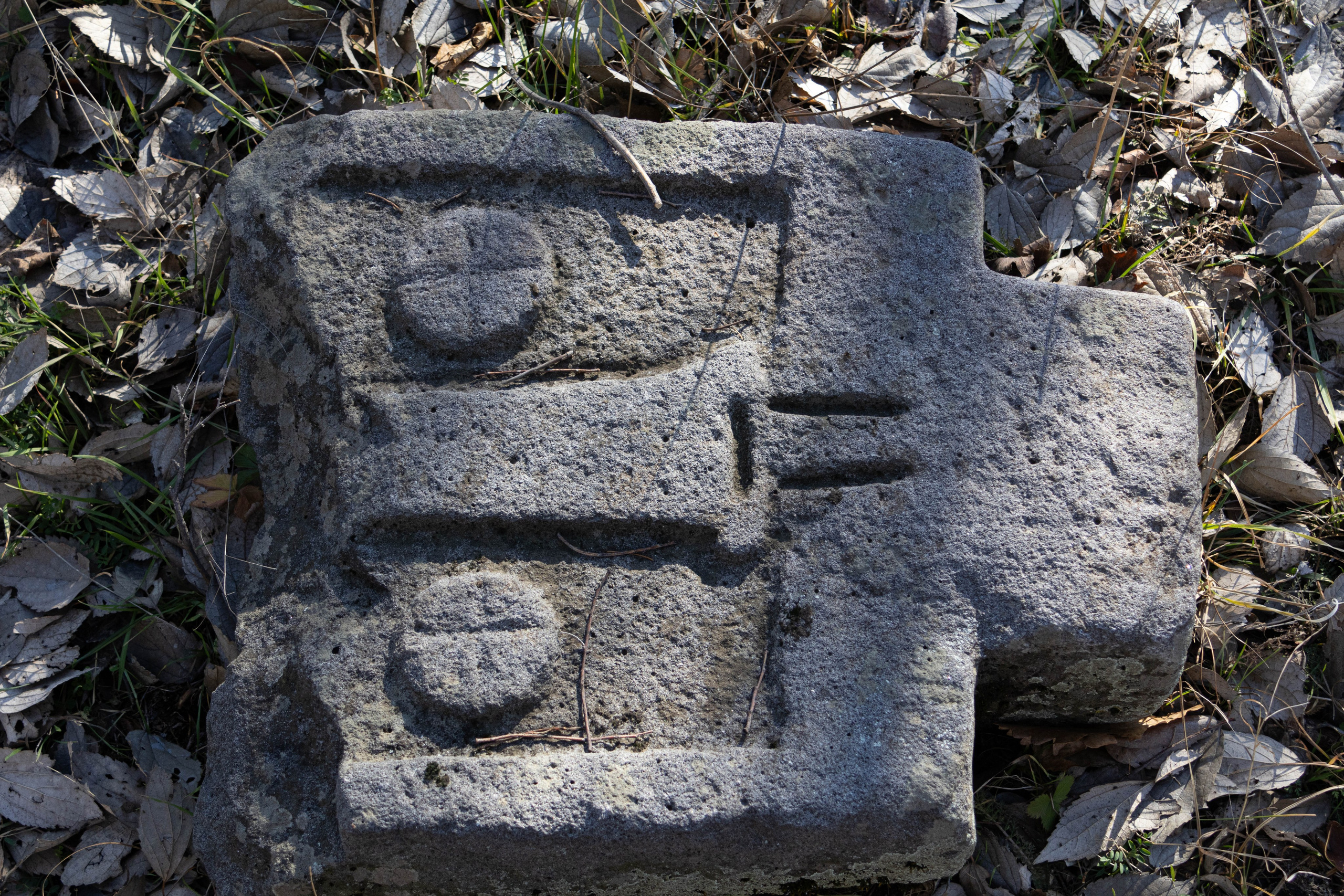 სამშვილდე. FramefreeMan