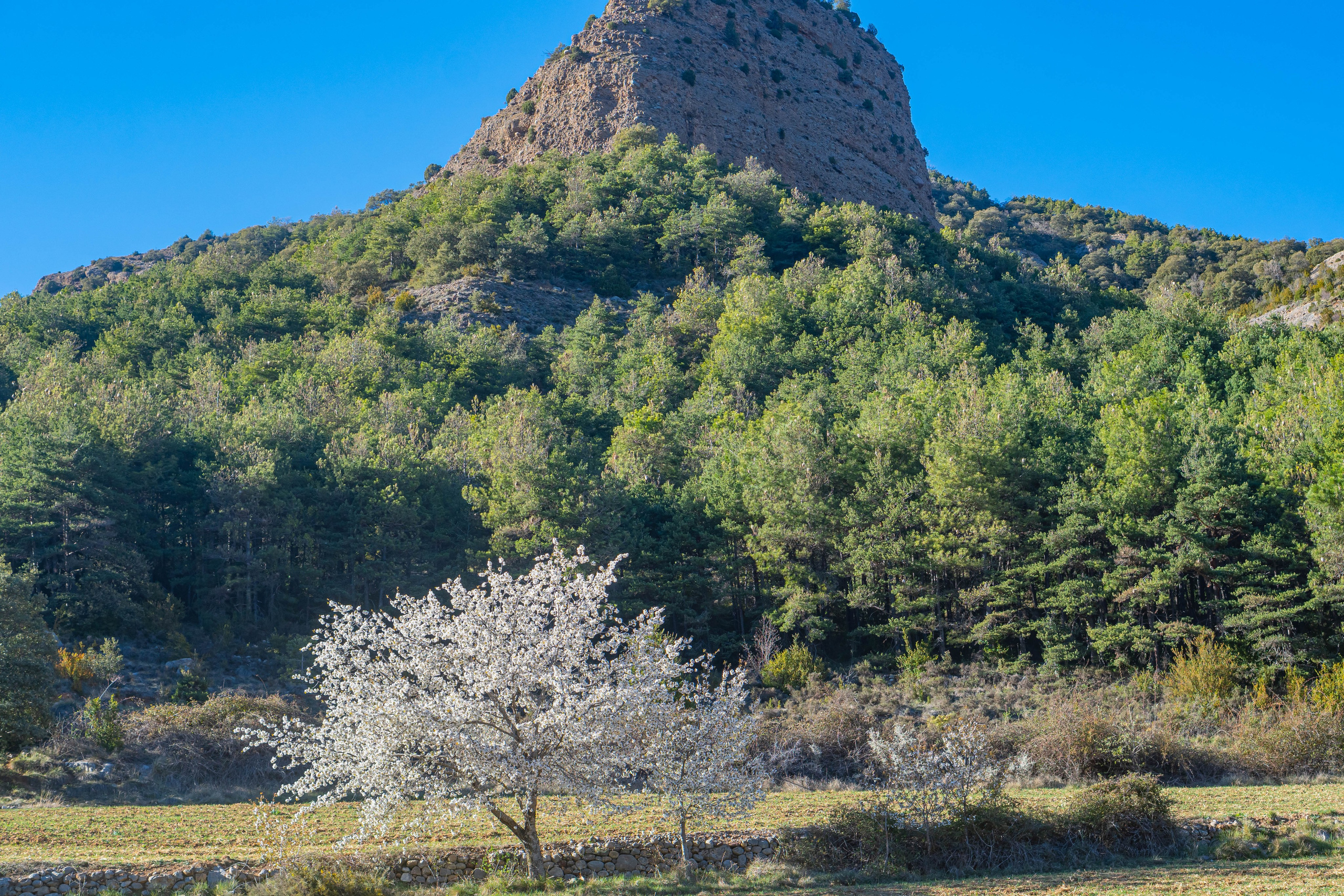 Barranco seco. Alba del Norte Studio