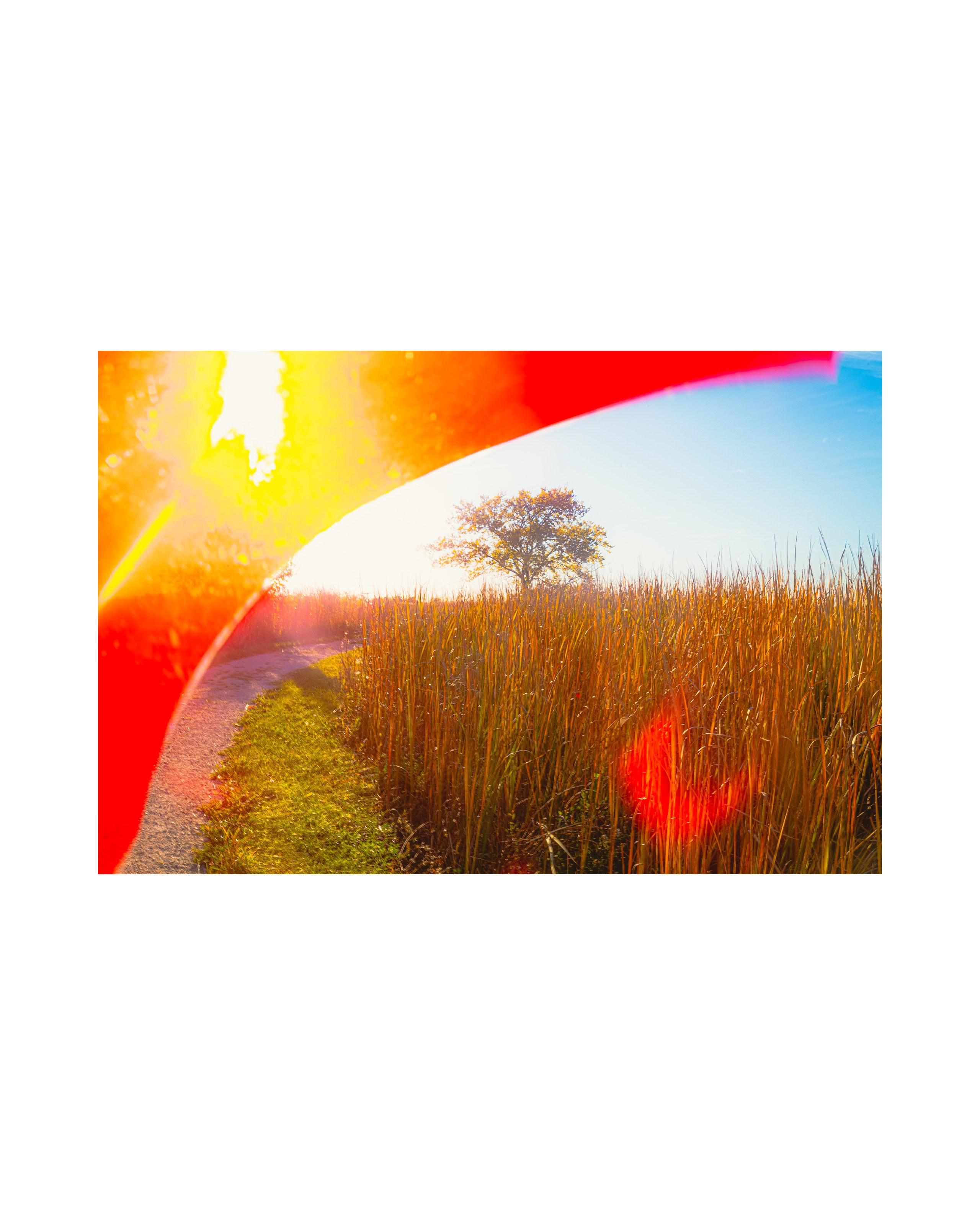 Nature from Exaggerated Worlds. Ekaterina Tsurkina-Appina Photography Canada