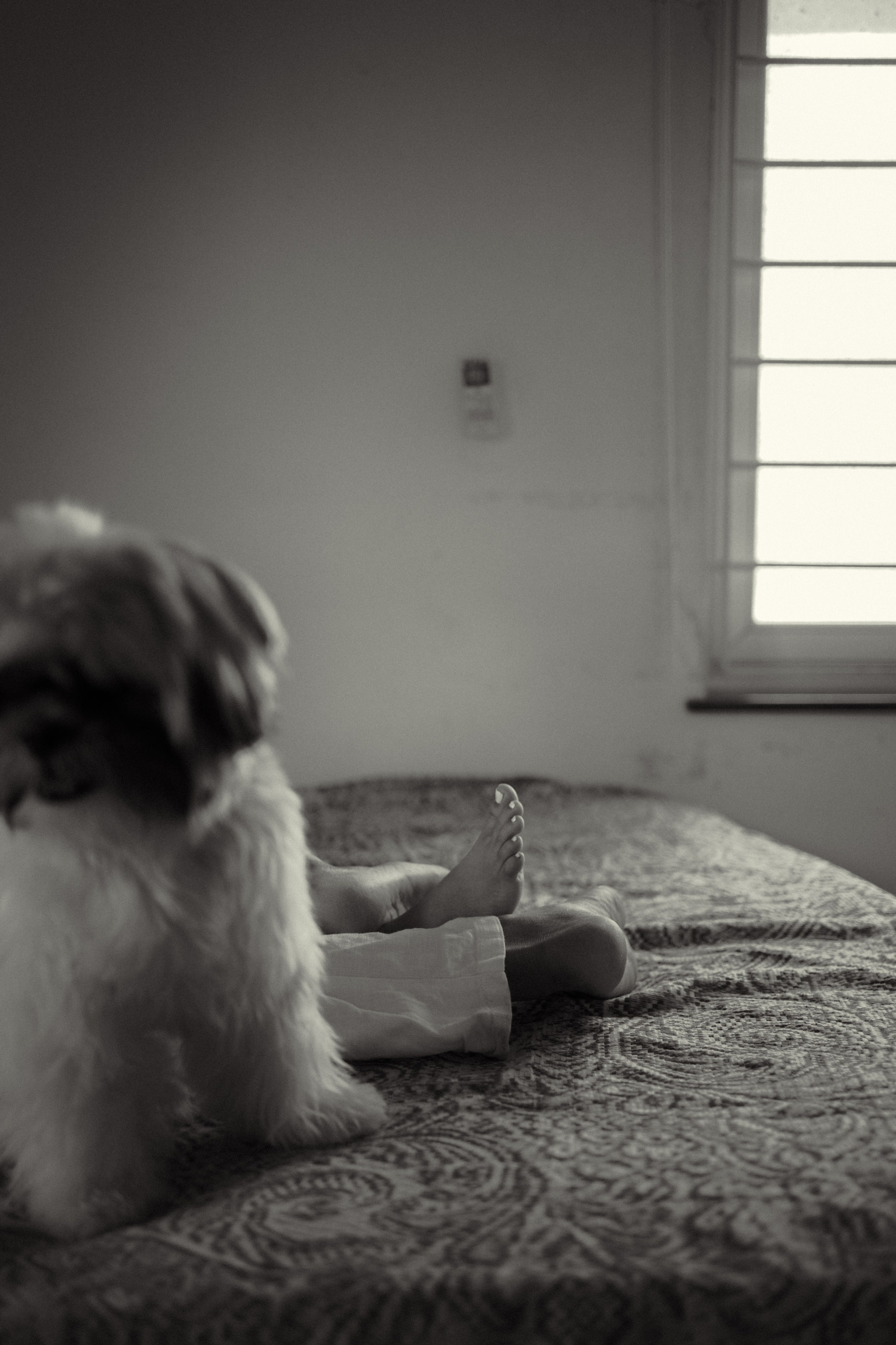 Thiaga & Nayan. Menu