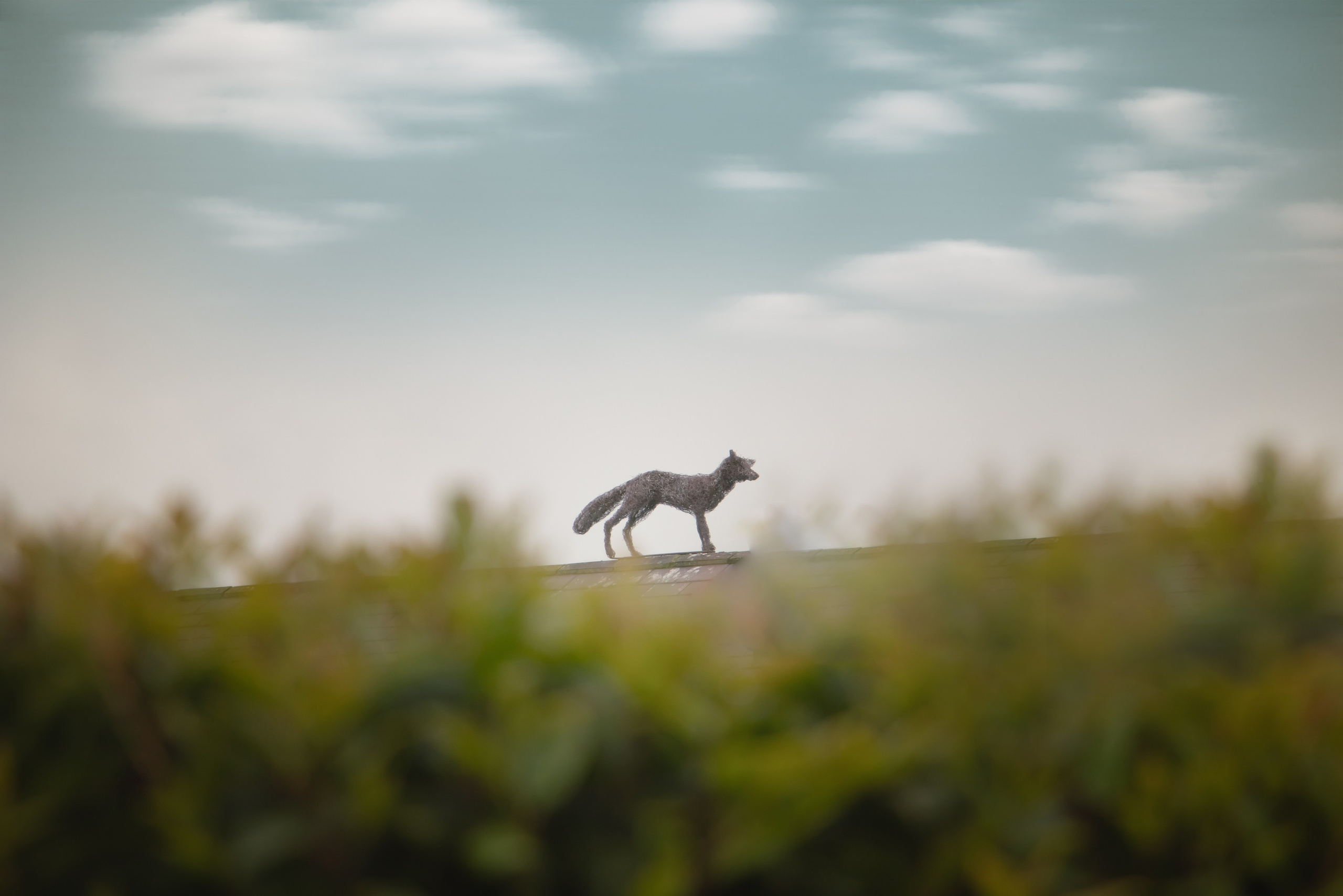 Punchestown. Photographer Co Dublin, Balbriggan — Agata Maliseva