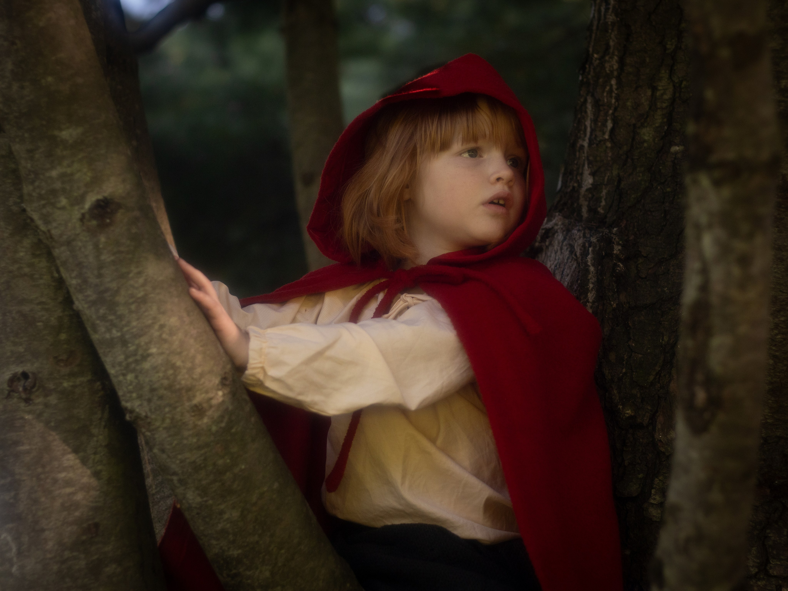 New Little Red Riding Hood. Toronto Portrait Photographer Lena Lac