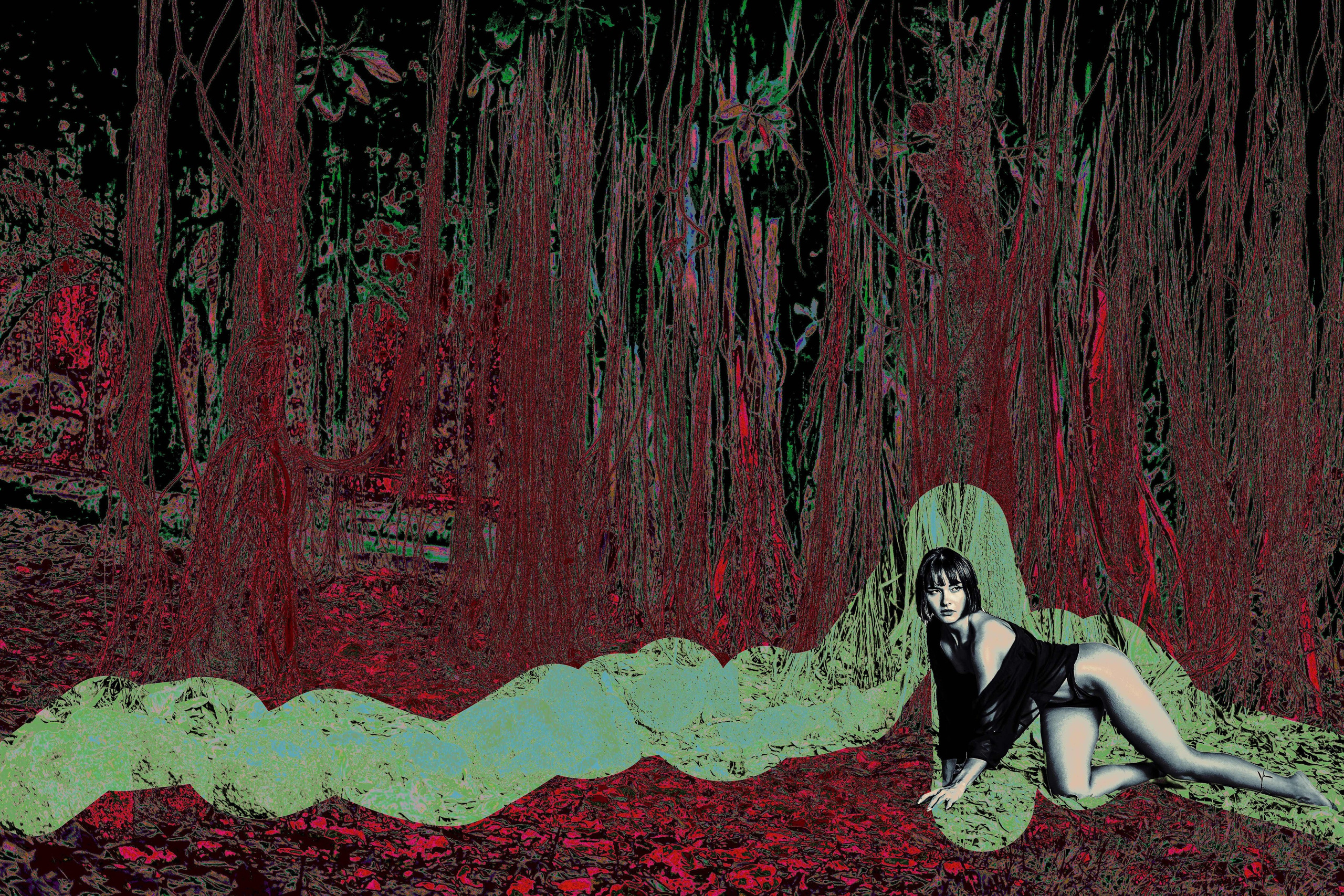 FAIRYLAND. Visual Artist