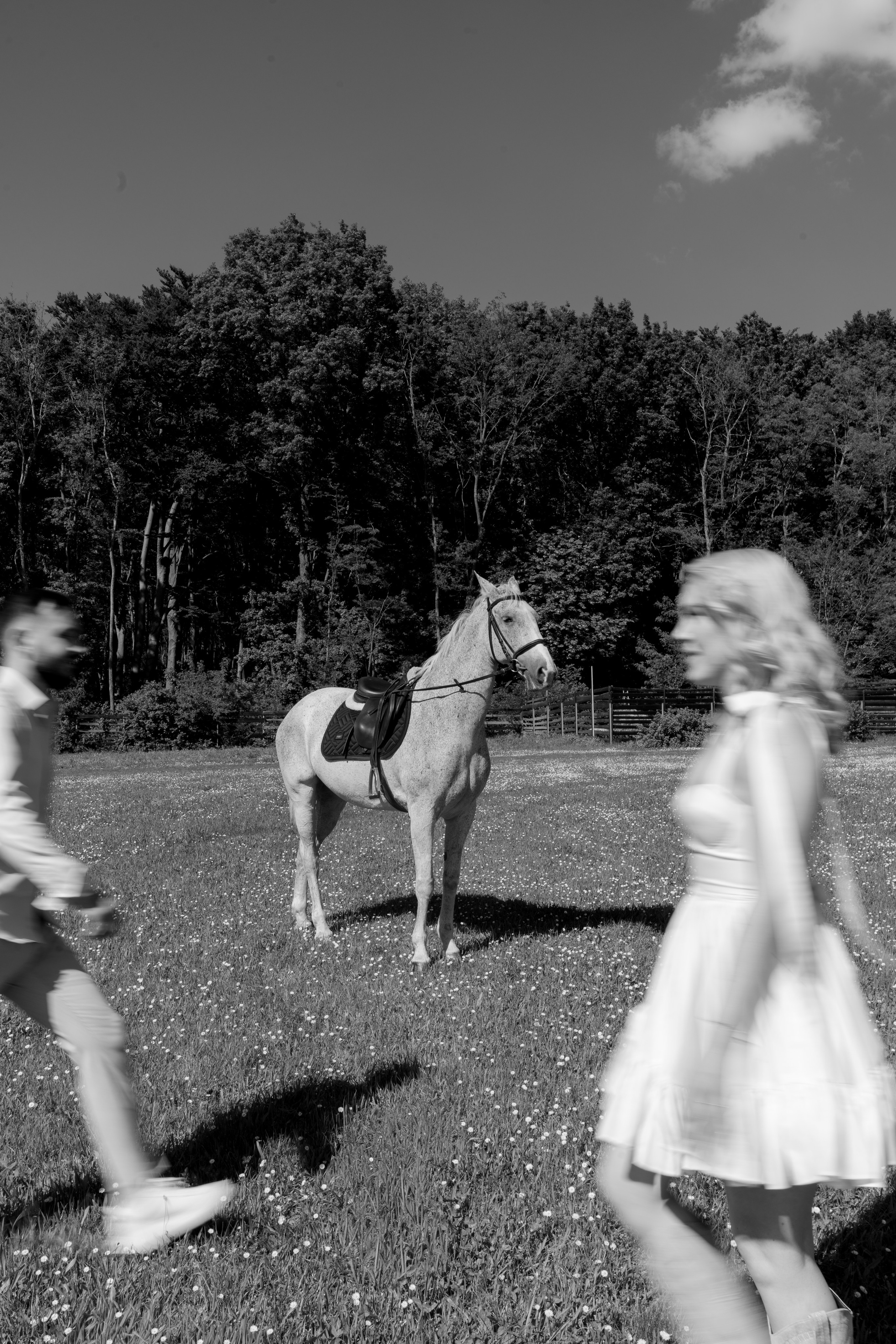 Save the date 2, Botosani. Wedding Photographer in Dublin Miruna Daiana