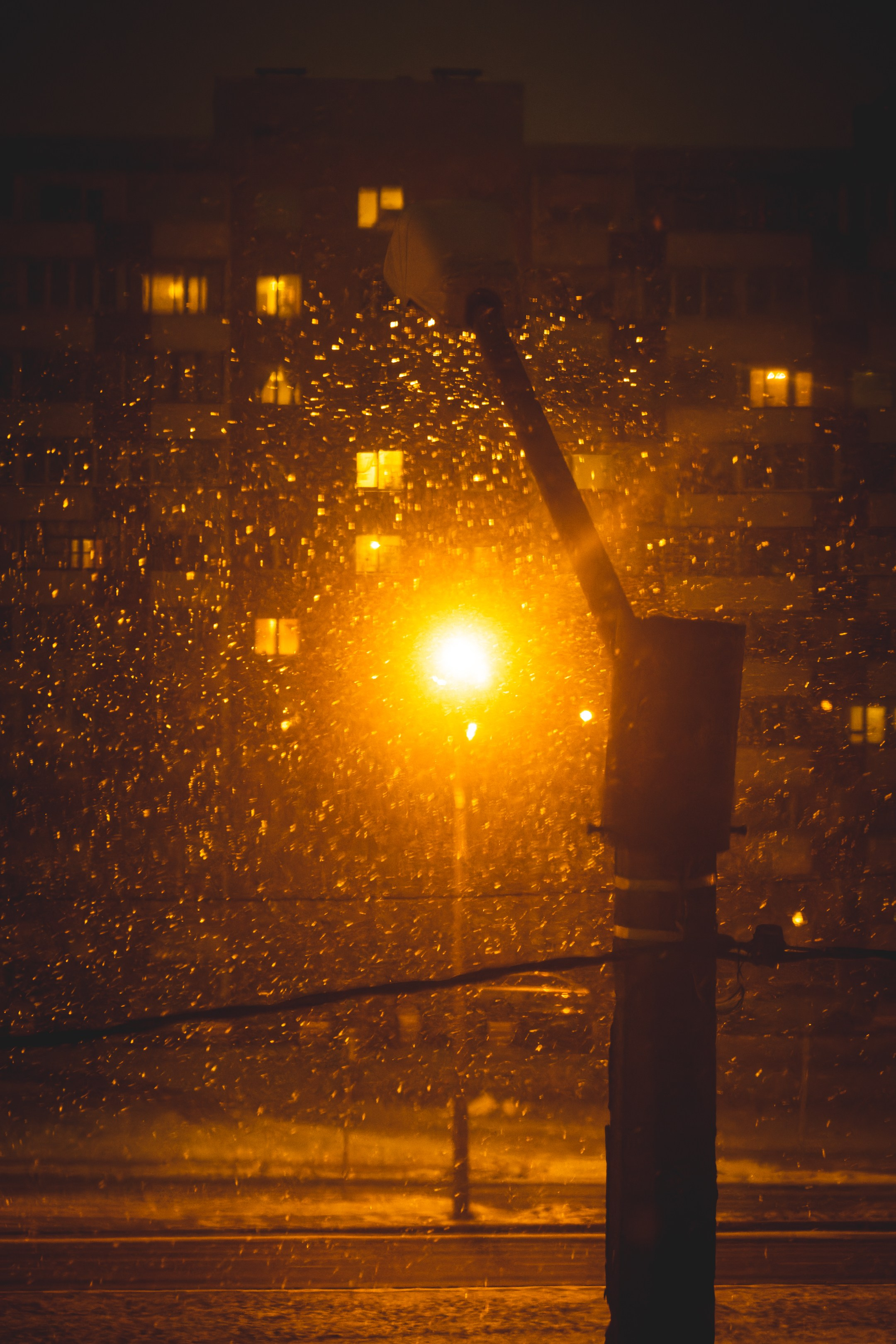 Eelmine öö. Nebula 25 — Fotod teie hingele