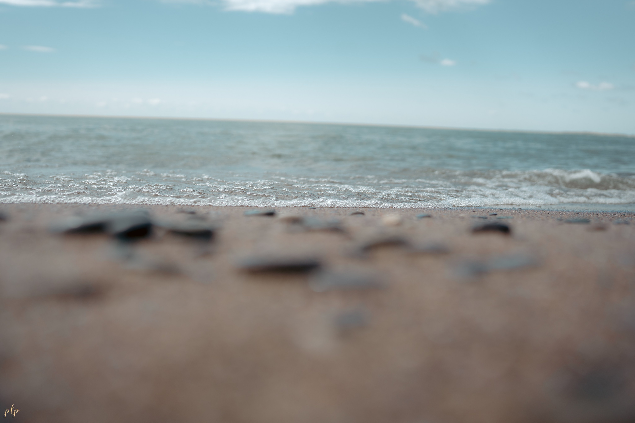 Dhairya and Krupali. Wedding Photographers and Filmmakers