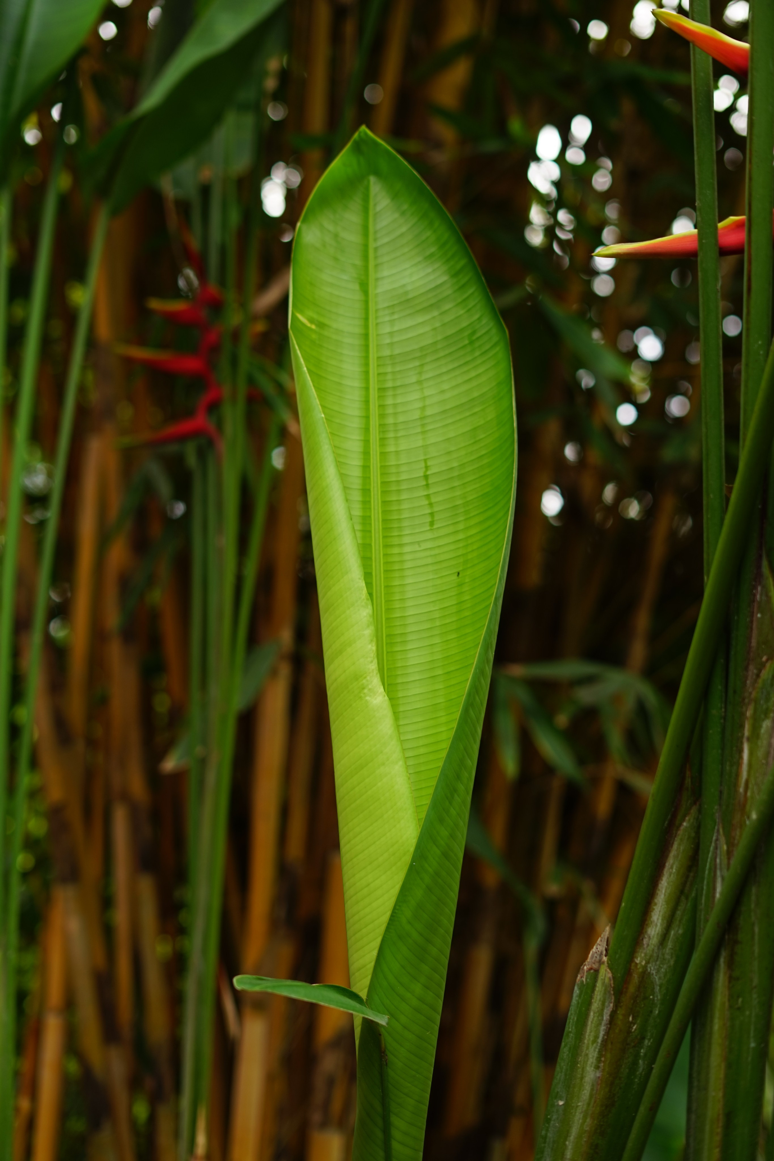 Bali. Hotel and travel photographer