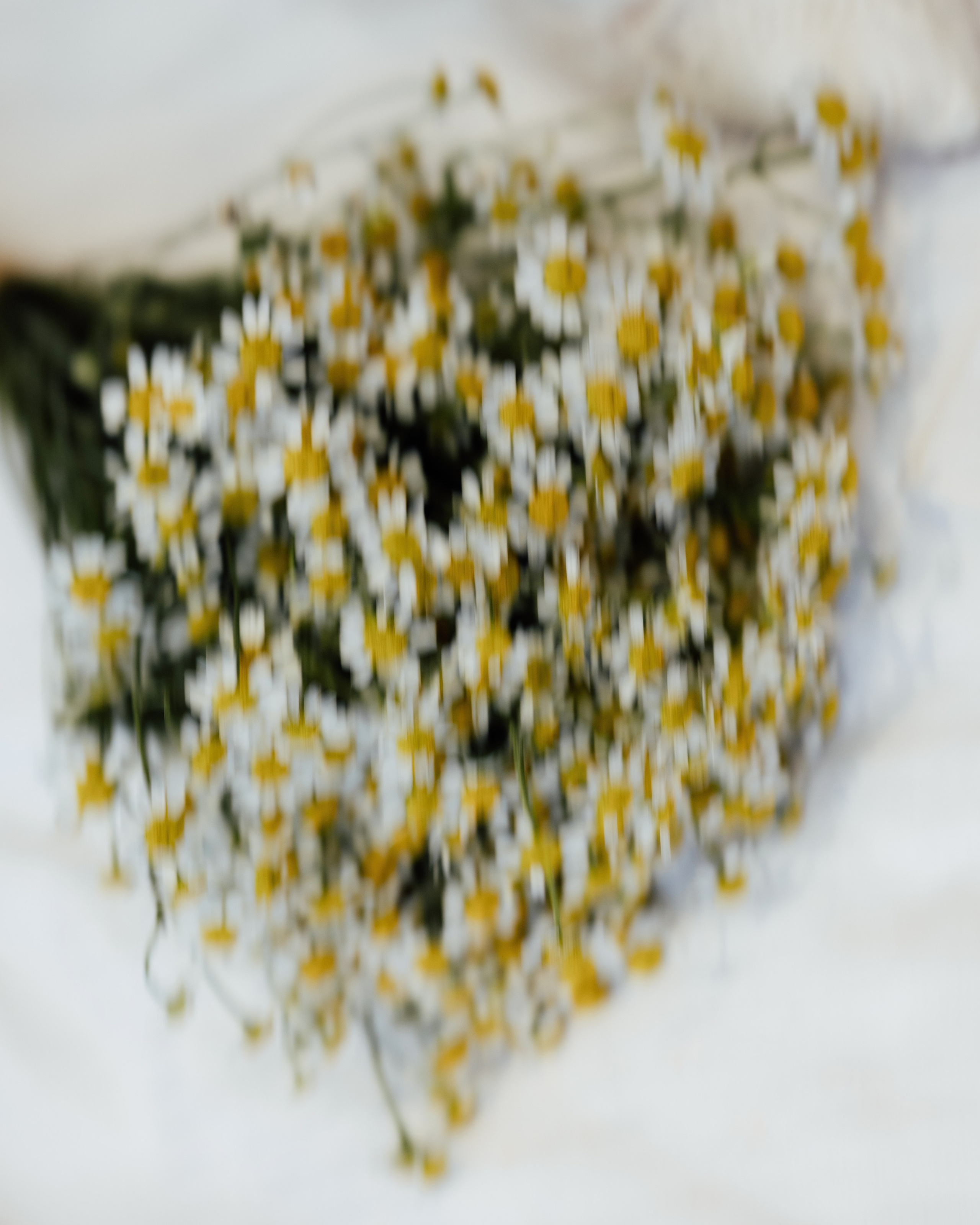 Chelsea Old Town Hall — Poppy & Jordan. Timeless Wedding & Event Photography from London to the world