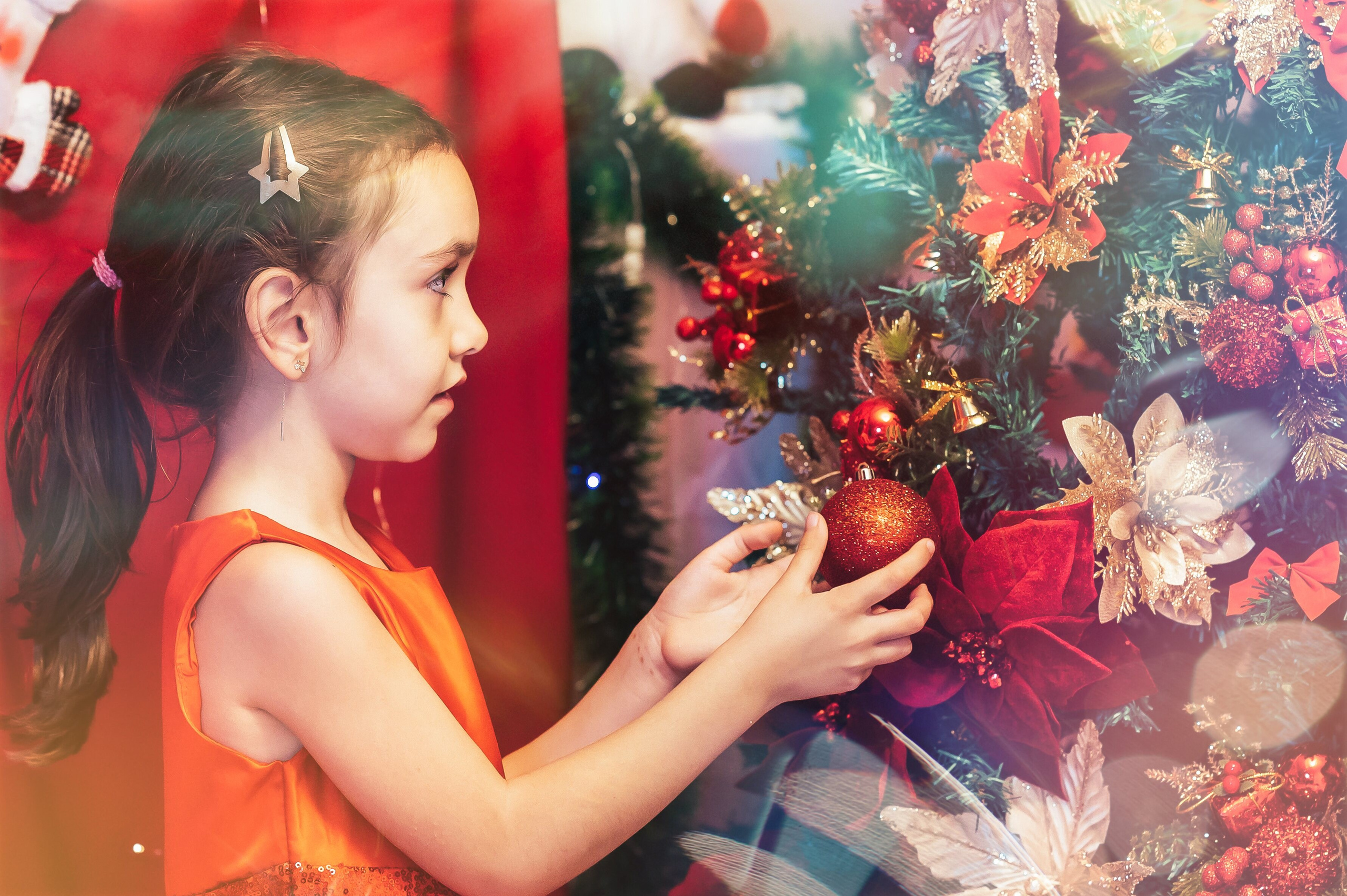 Sedinta Craciun Sofia